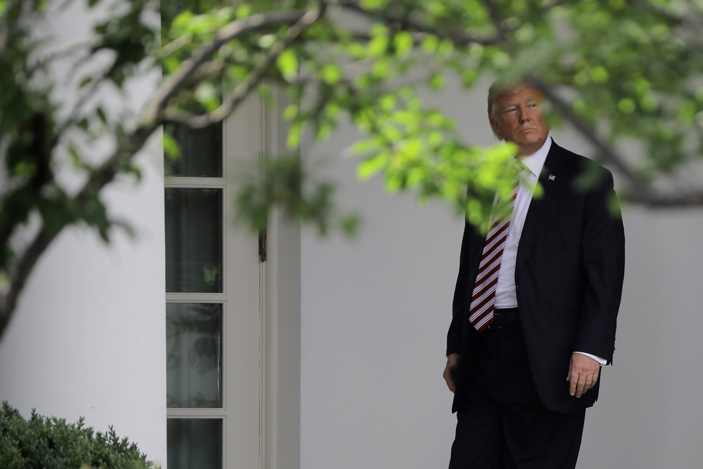 Trump at the White House June 12. (Carlos Barria—Reuters)