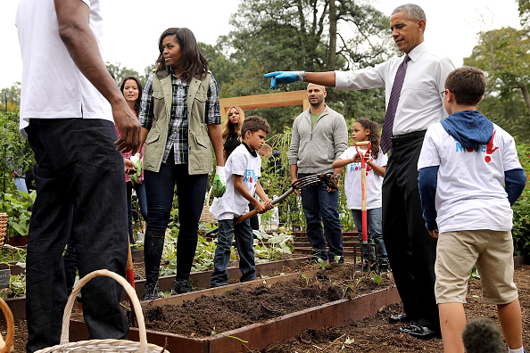 U.S. first lady Michelle Obama and President Barack Obama host an event to harvest the White House Kitchen Garden on the South Lawn of the White House October 6, 2016 in Washington, DC.