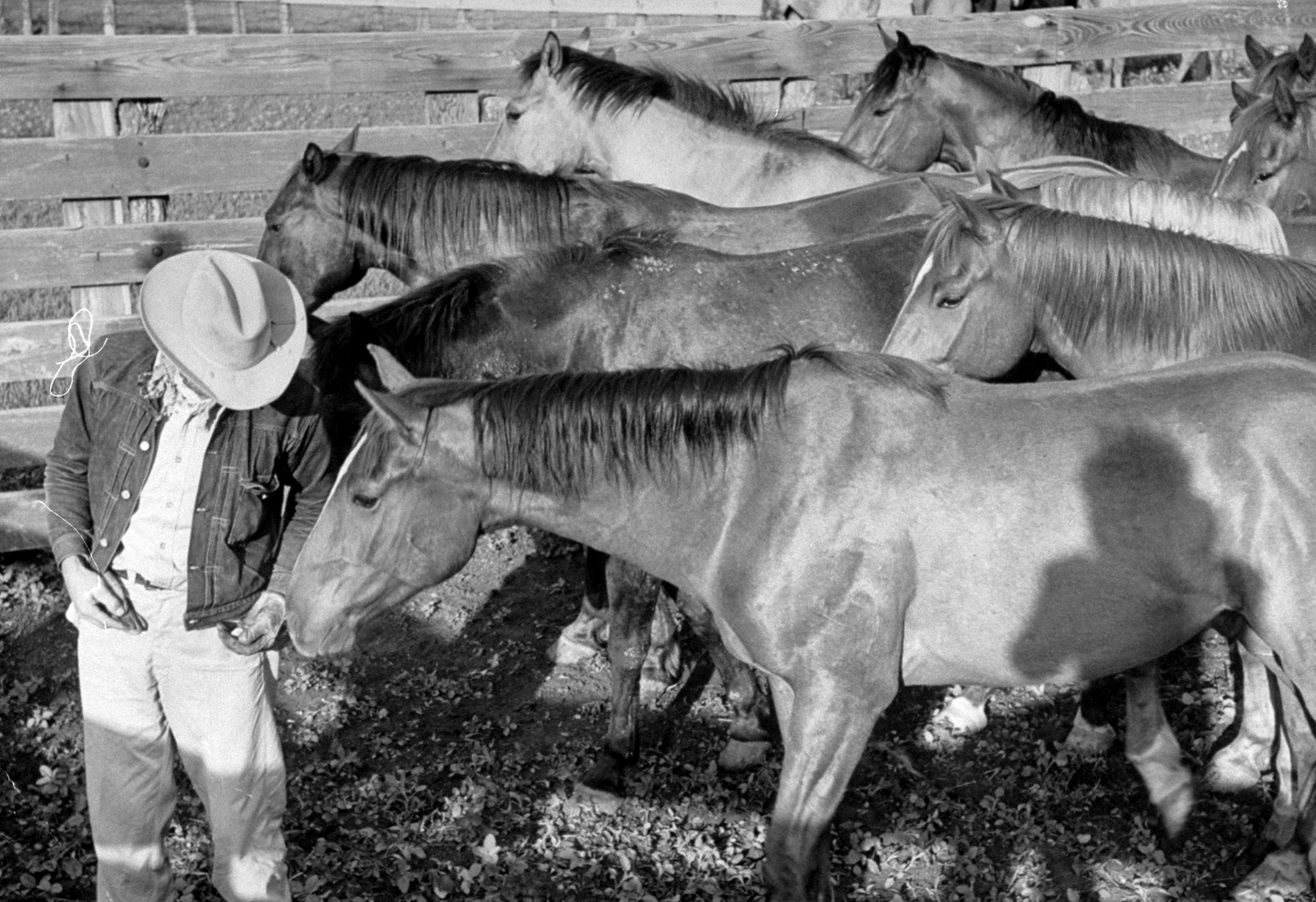 Cowboy Clarence H. Long from the iconic 1949 LIFE magazine cover.