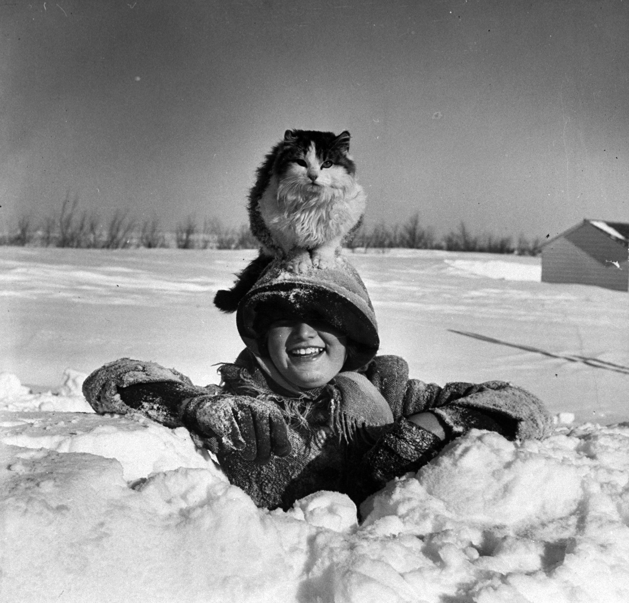 Sharon Adams, 10, playing in a snow drift as her cat maintains its comfortable perch atop her head, 1952.