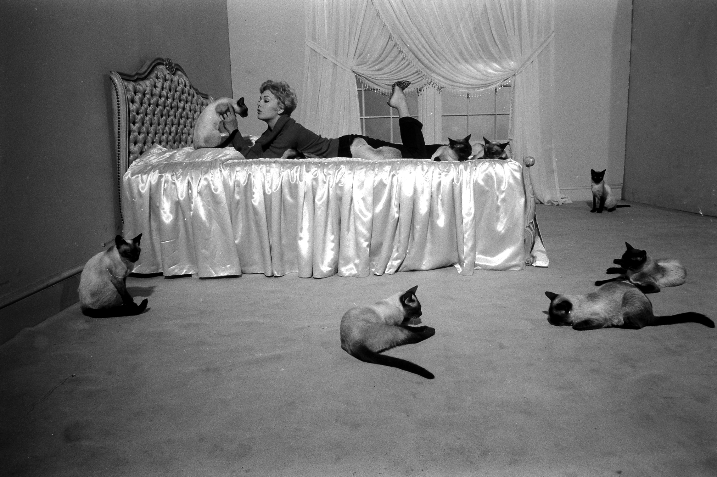 Kim Novak playing with some Siamese cats that were used in one of her movies, "Bell, Book and Candle," 1958.