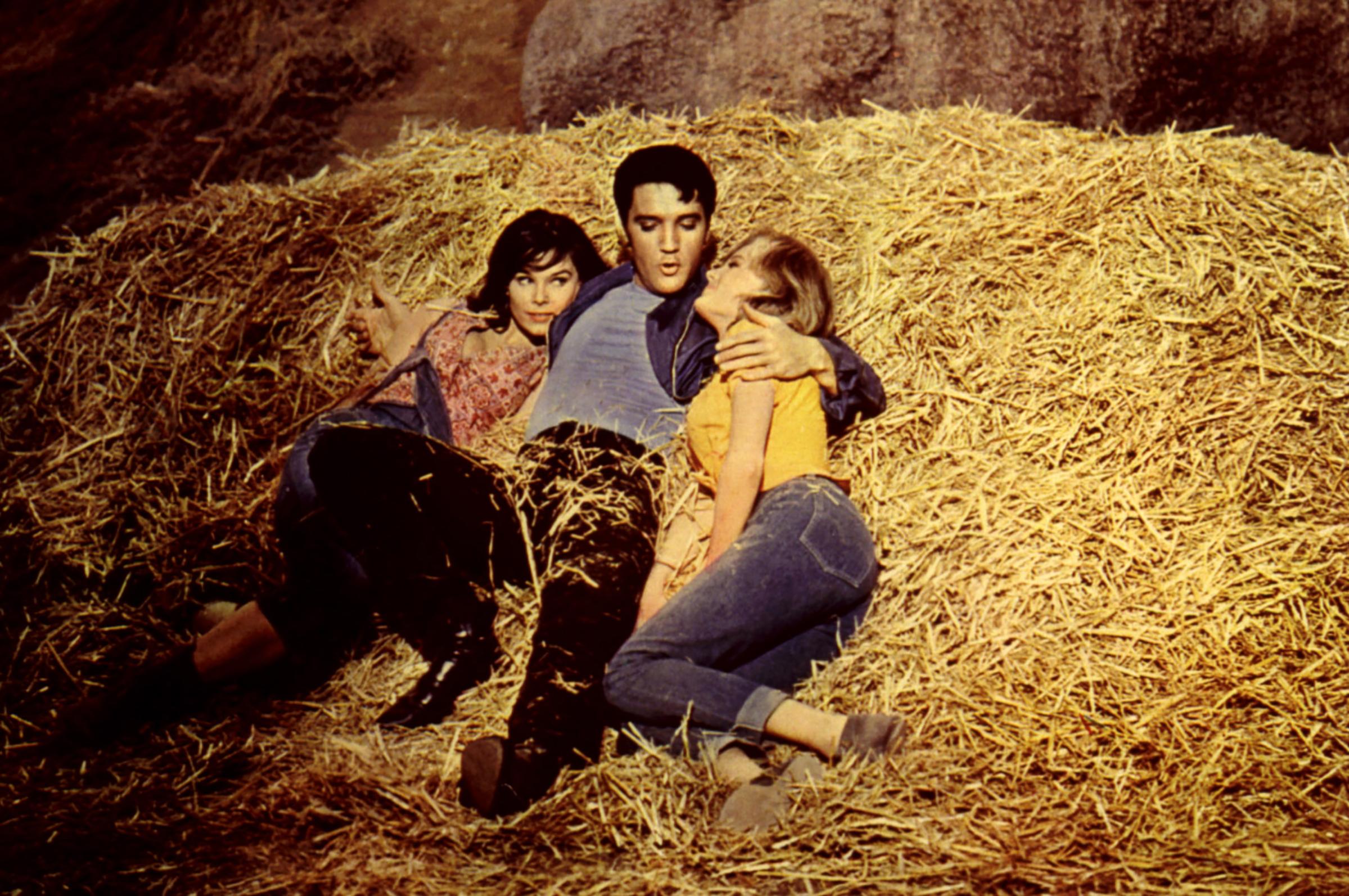 KISSIN' COUSINS, Yvonne Craig, Elvis Presley, Pamela Austin, 1964