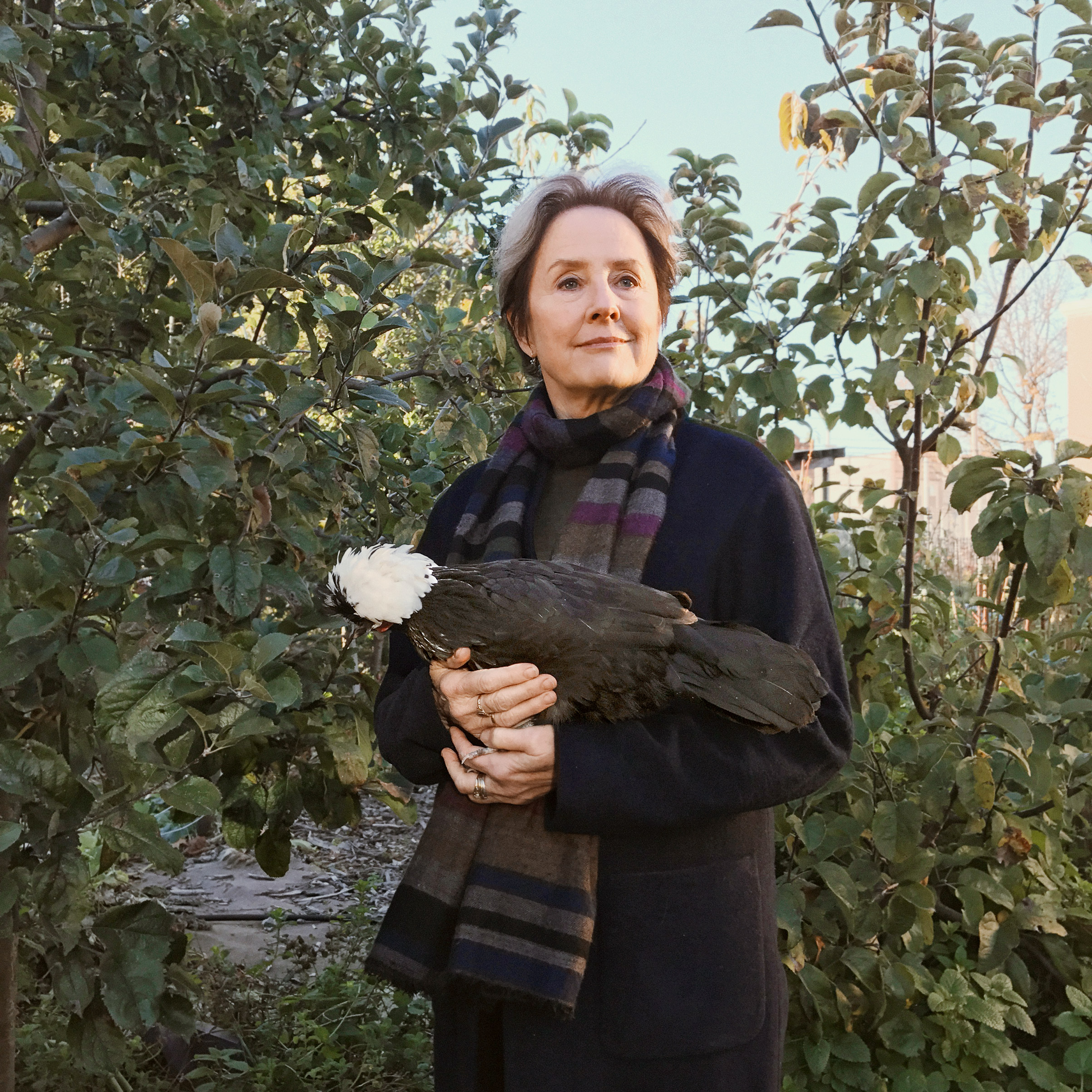 Portrait of Alice Waters, photographed at the Edible Schoolyard in P.S. 216 in New York City, November 7, 2016.