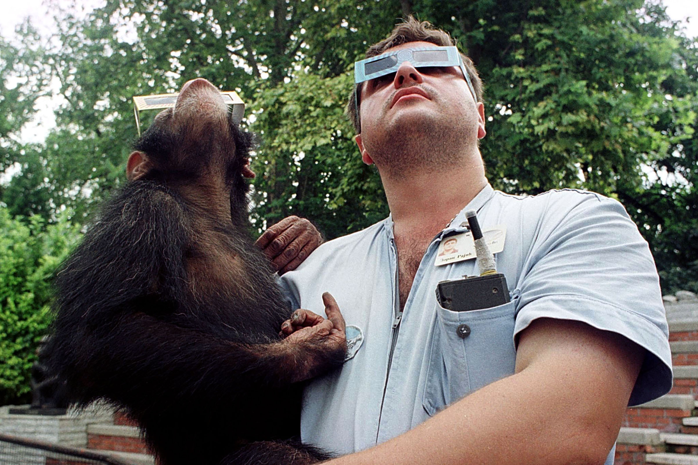 A Belgrade zookeeper holds a young chimpanzee Olgica wearing solar viewing glasses while they look up into the sky to watch the solar eclipse as it passes over the Yugoslav capital. (Reuters)