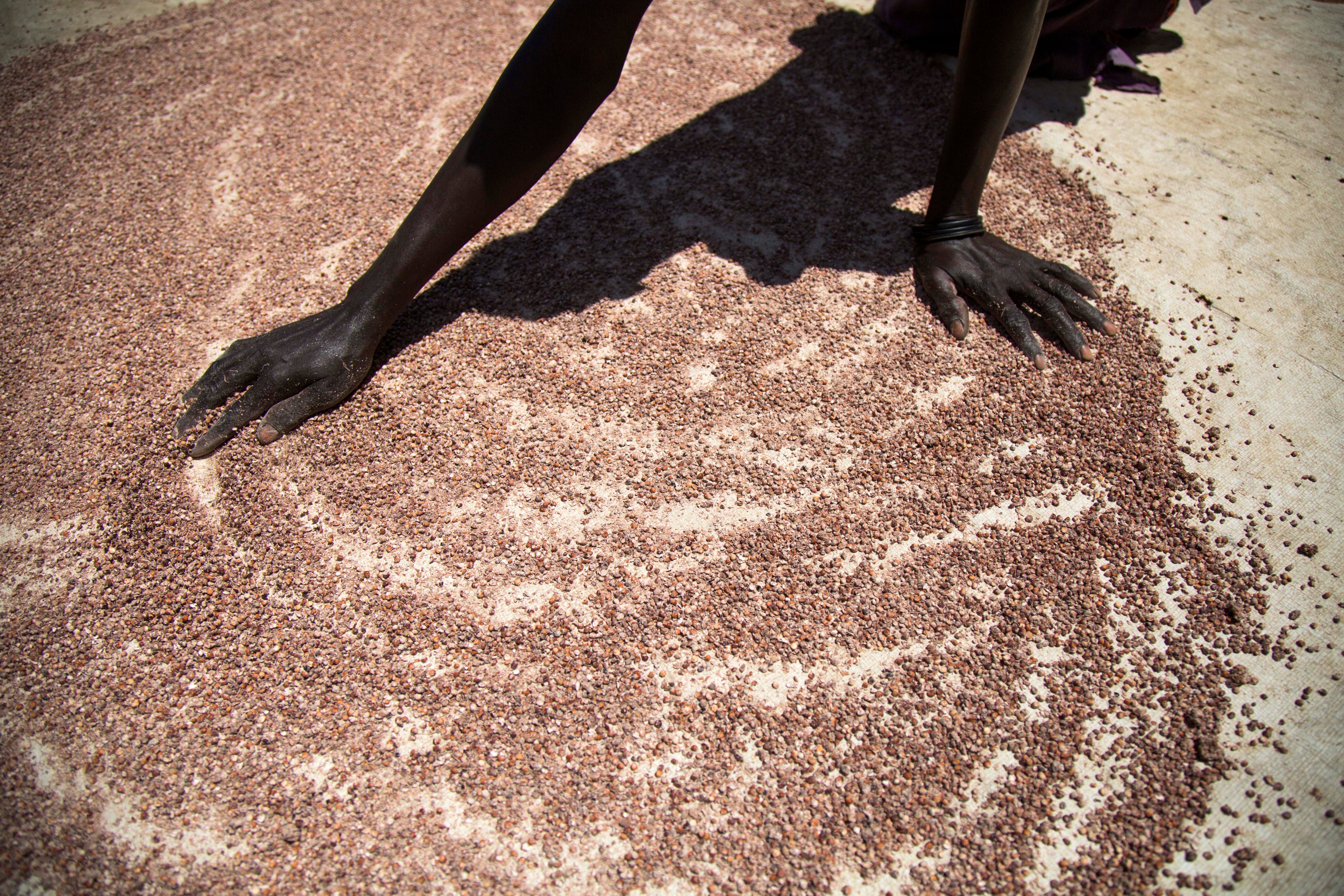 A woman dries a small quantity of sorghum on May 31, 2017, outside her house in Panthau, Northern Bahr al Ghazal, South Sudan. (Albert Gonzalez Farran&mdash;AFP/Getty Images)