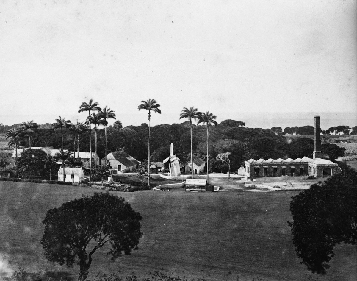Sugar plantation, Barbados, circa 1870 (Archive Farms / Getty Images)