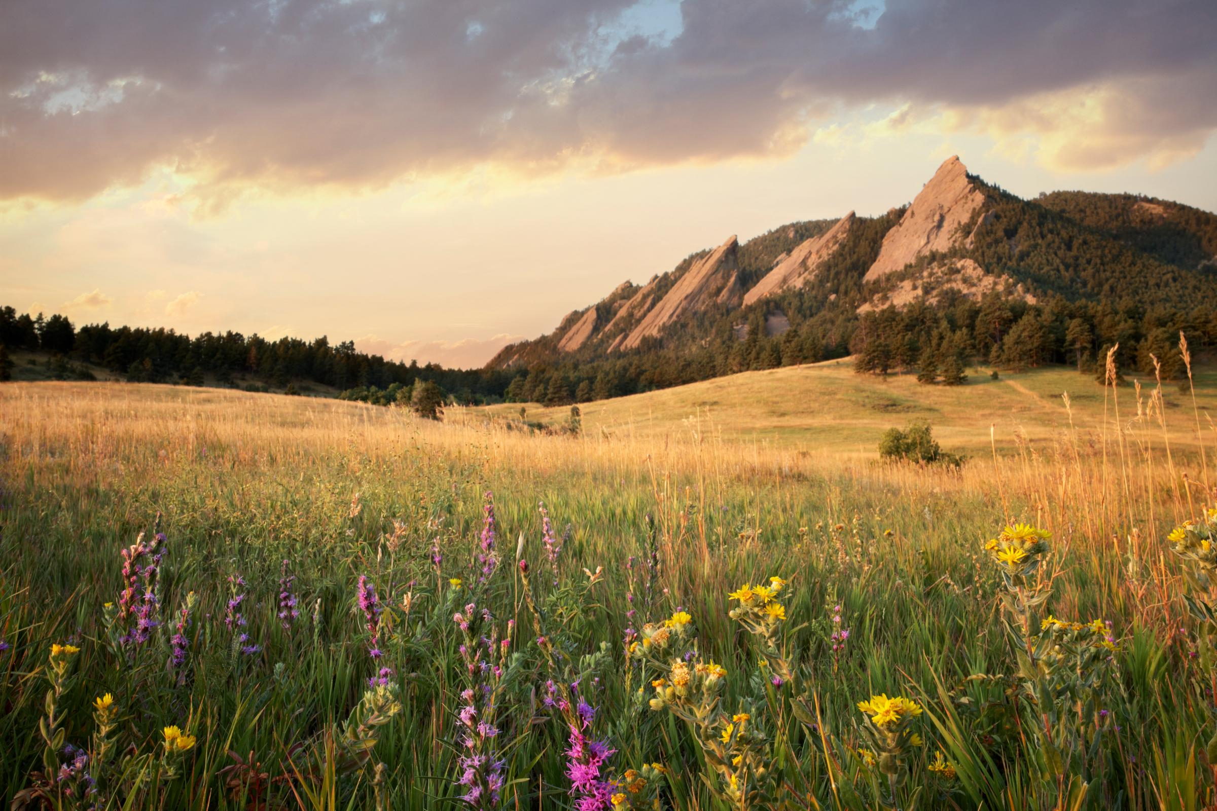 Scenic view of meadow and mountains, Boulder, Colorado, USA