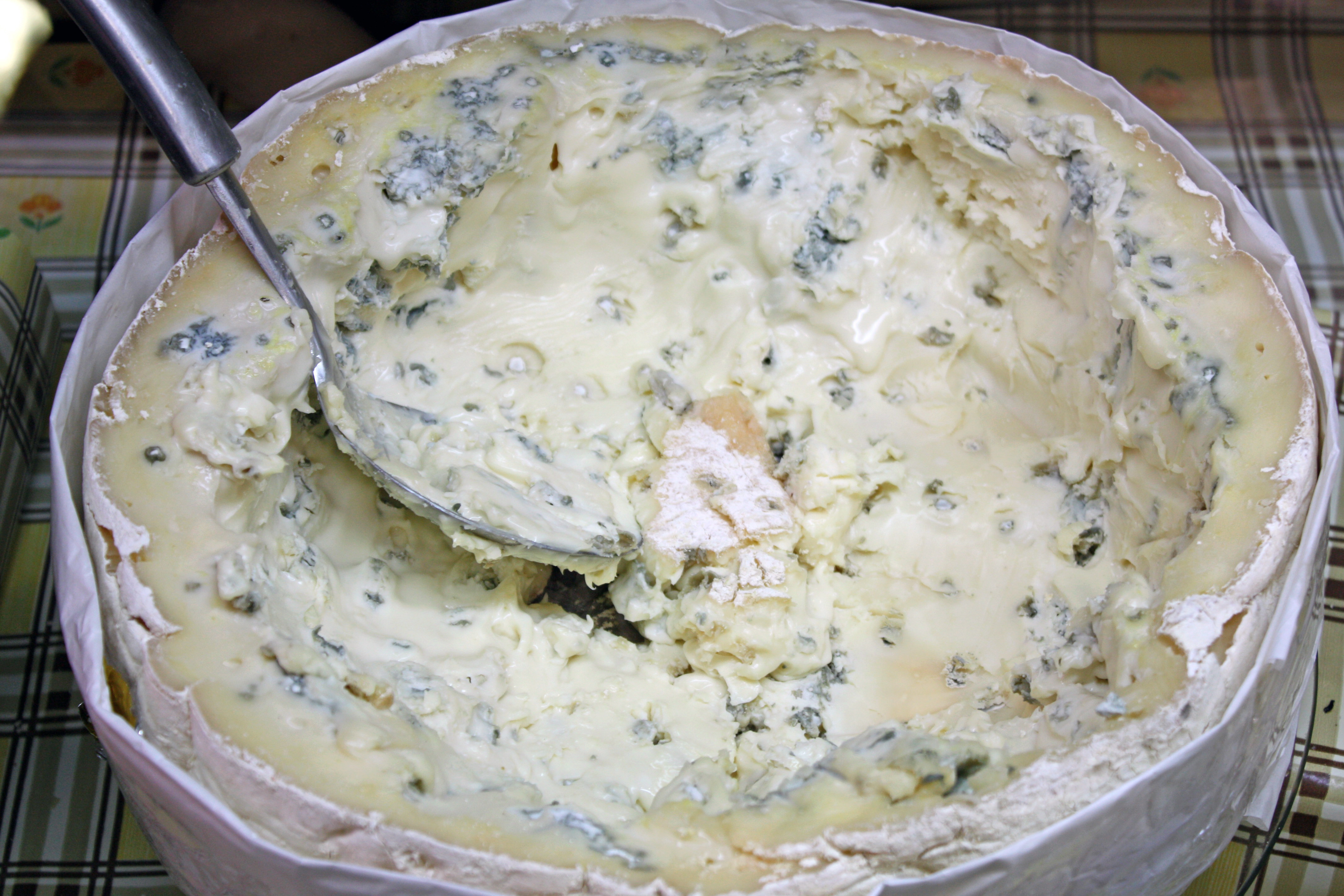 Gorgonzola cheese, Italy (SeM—UIG via Getty Images)