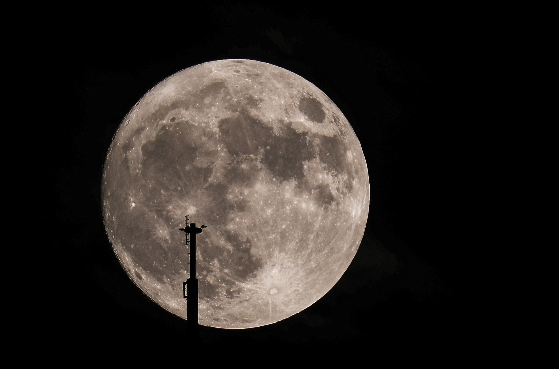 A full moon is seen in Chicago, Illinois, USA on November 13, 2016. (Bilgin S. Sasmaz—Anadolu Agency/Getty Images)
