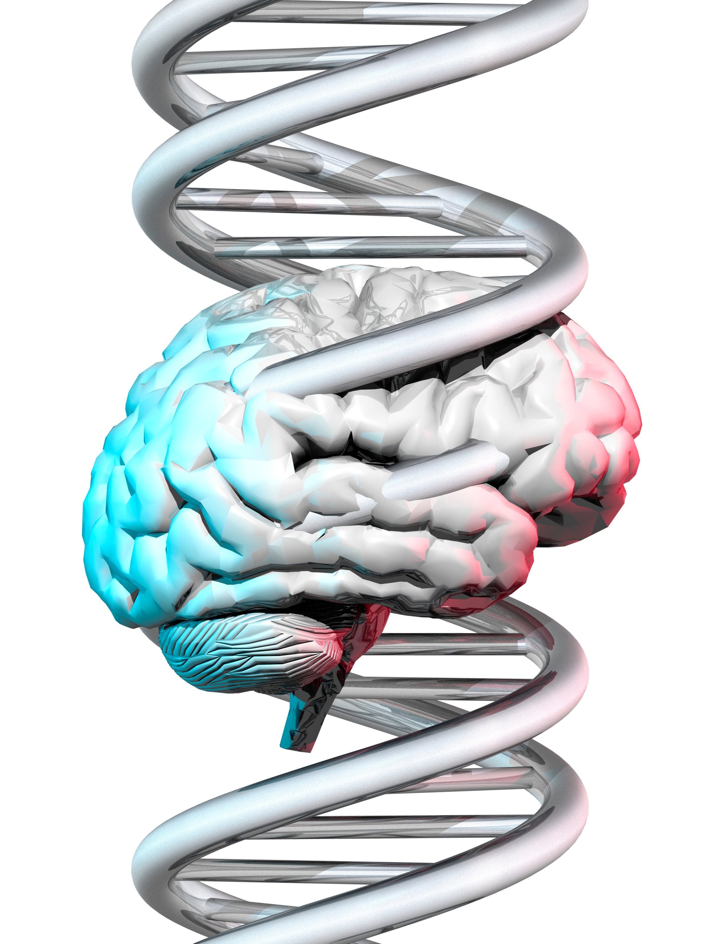 Brain and DNA