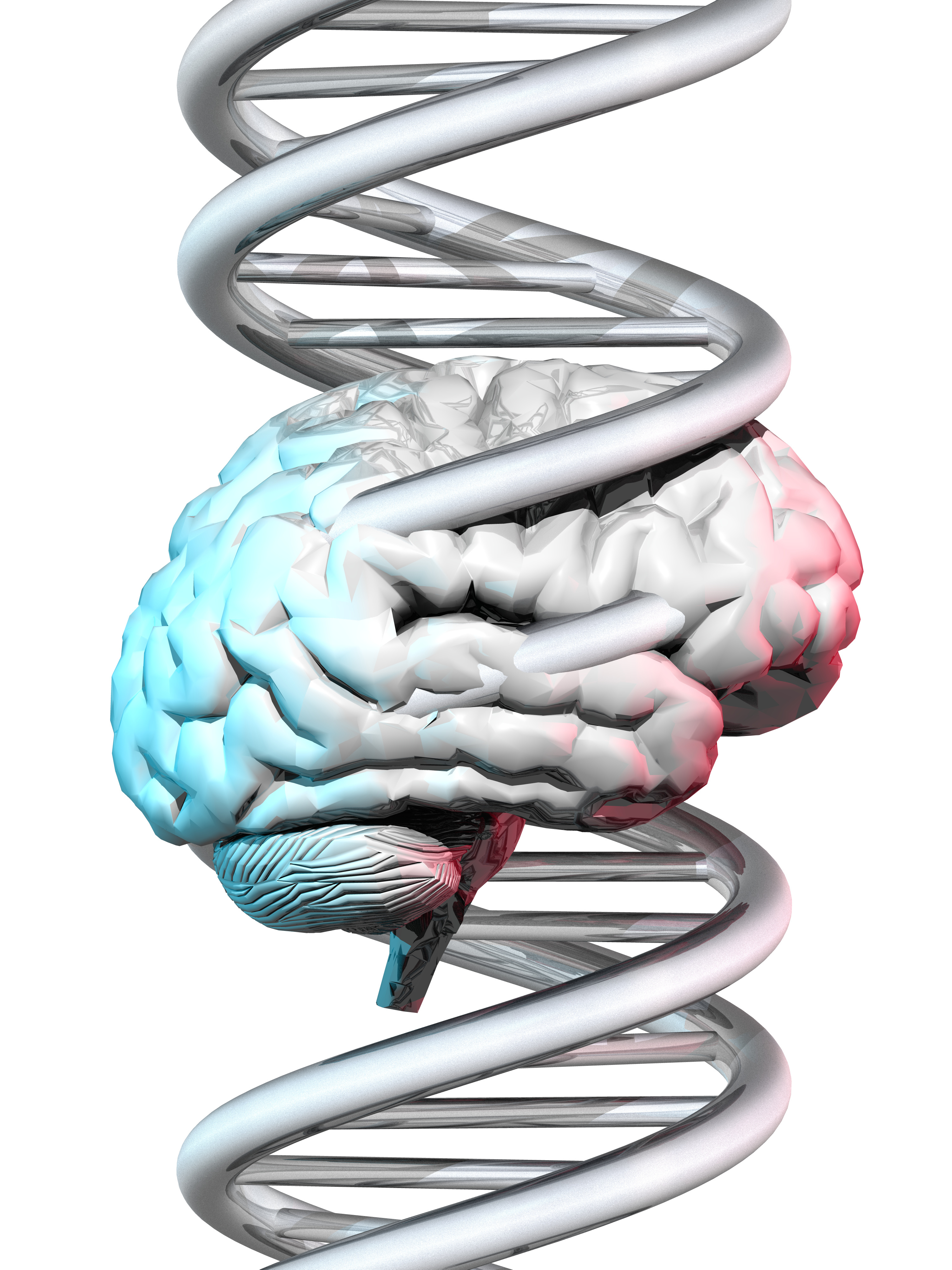 Brain and DNA