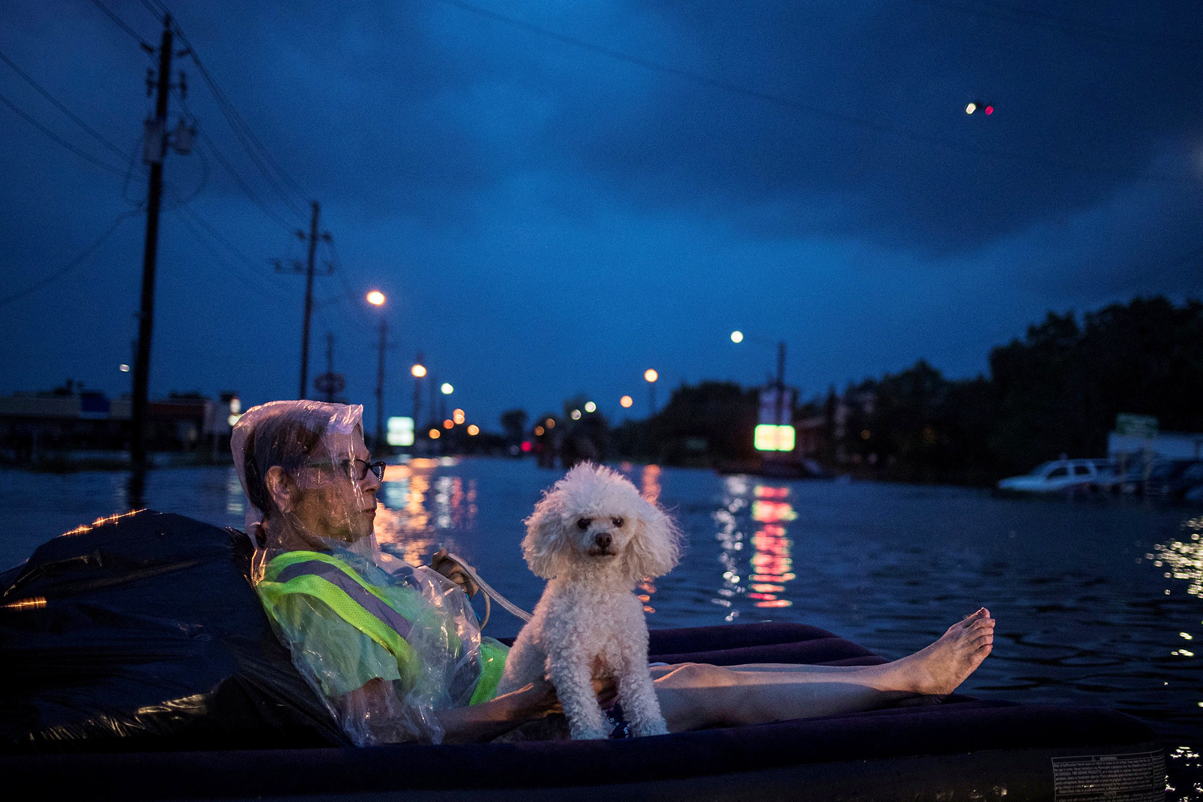 With an air mattress as a life raft, a survivor and her dog await recovery; a rescue helicopter hovered nearby (Adrees Latif—Reuters)