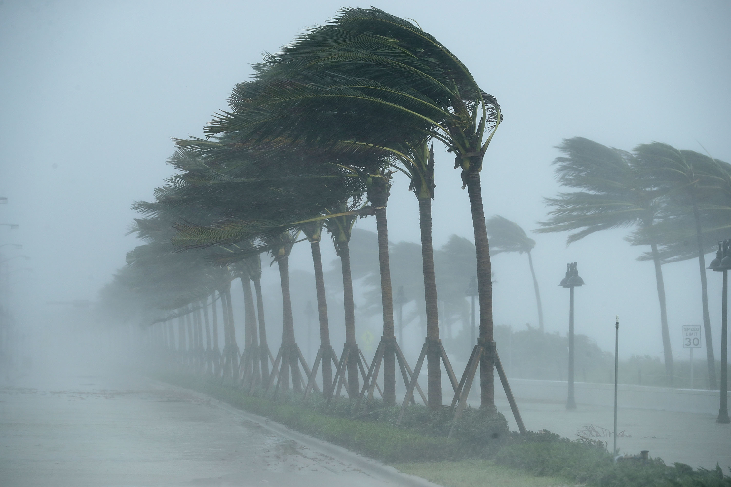 Trees bend in the tropical storm wind along North Fort Lauderdale Beach Boulevard as Category 3 Hurricane Irma hits the southern part of the state September 10, 2017 in Fort Lauderdale, Florida. (Chip Somodevilla&mdash;Getty Images)