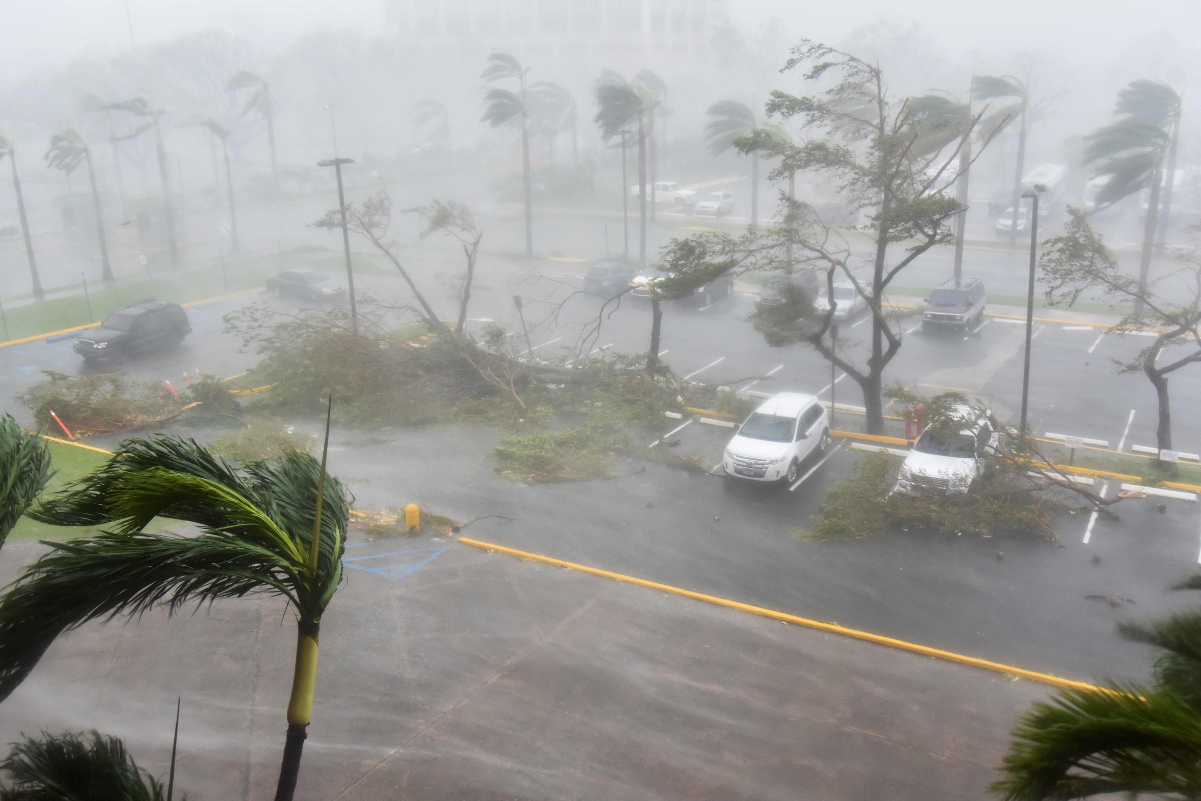 Trees are toppled in a parking lot at Roberto Clemente Coliseum in San Juan, Puerto Rico, on Sept. 20, 2017.