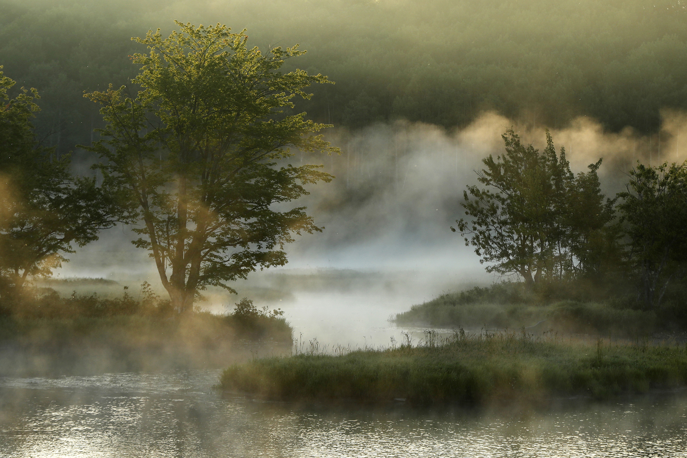 Fog rises from the Penobscot River's East Branch in the Katahdin Woods and Waters National Monument near Patten, Maine, on Aug. 10, 2017. (Robert F. Bukaty—AP)