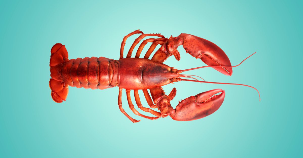 Maine Wants a Lobster Emoji. Here Are 5 Other Ideas | Time
