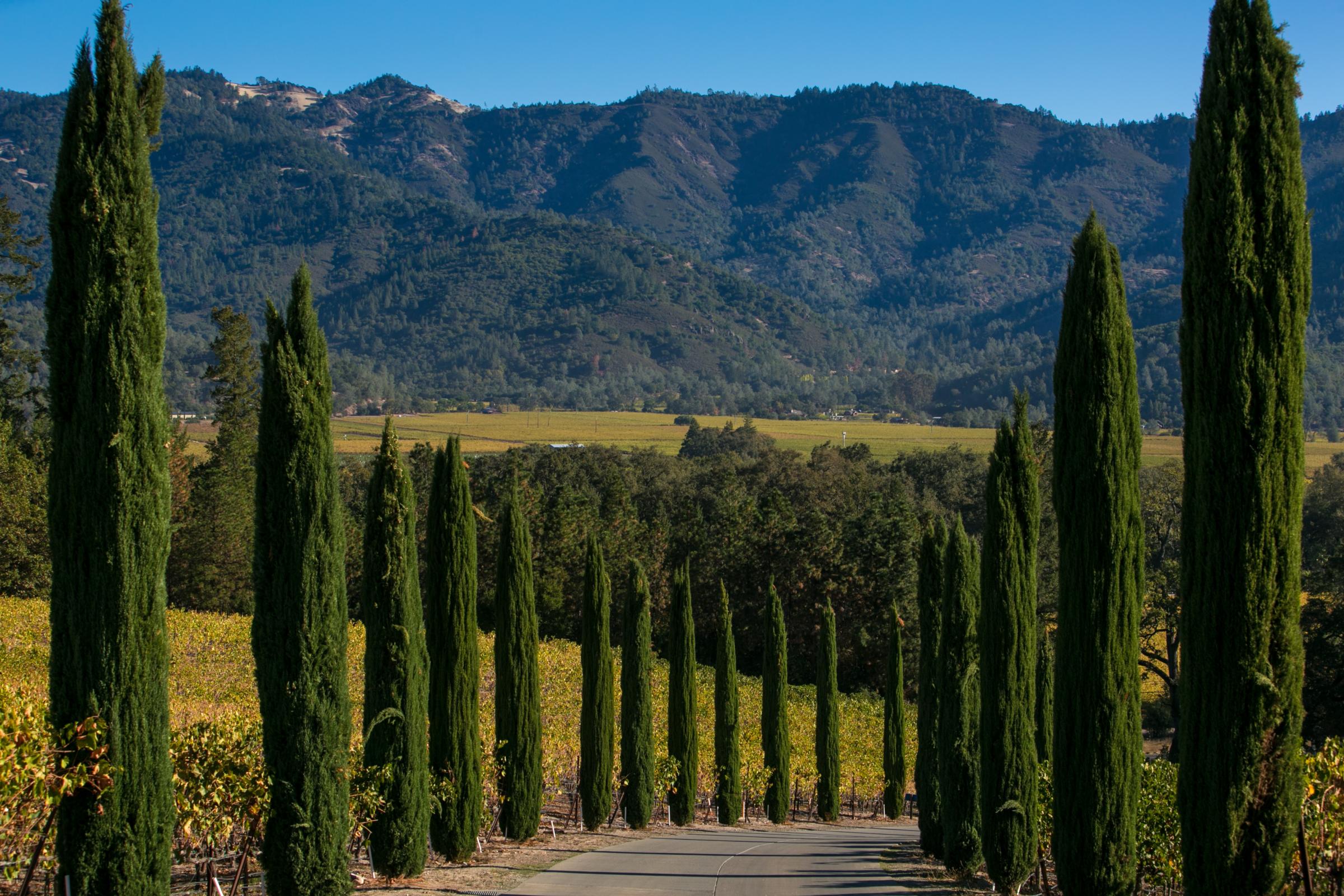Exploring California's Sonoma County Wine Country