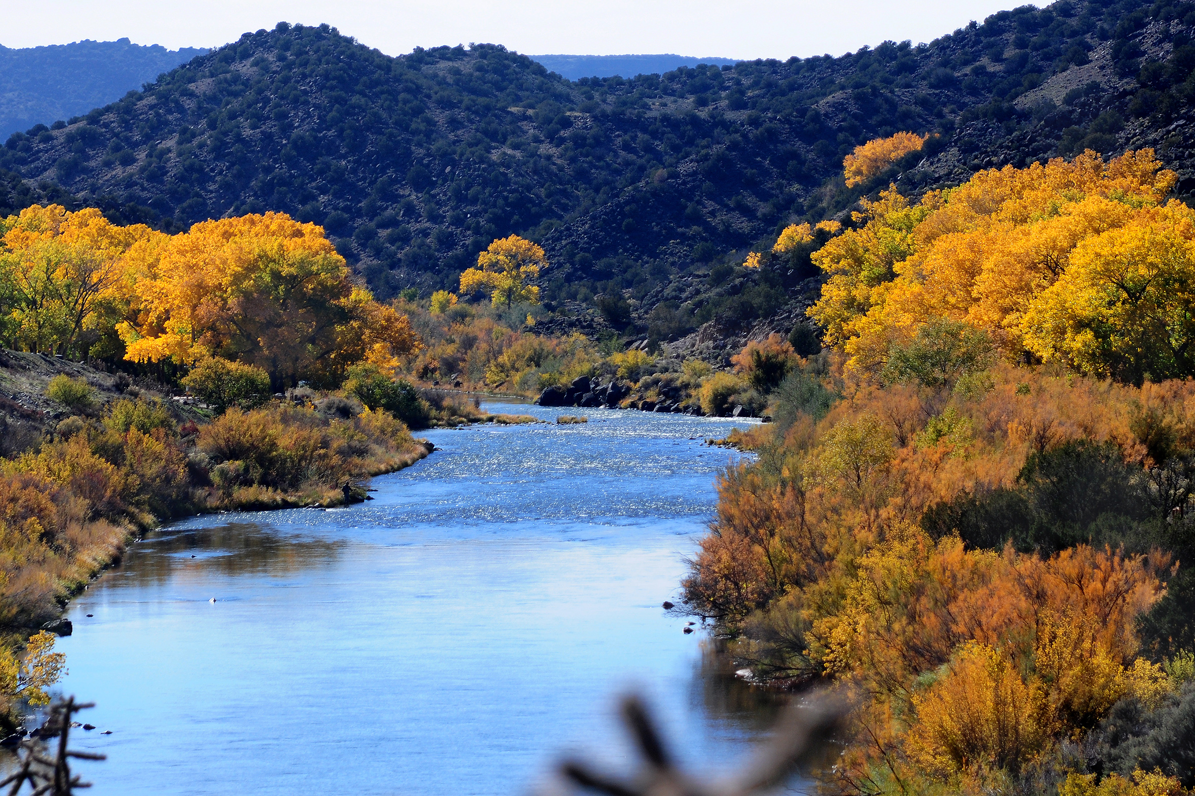 The Rio Grande River flows past cottonwood trees near Taos, New Mexico. (Robert Alexander—Getty Images)