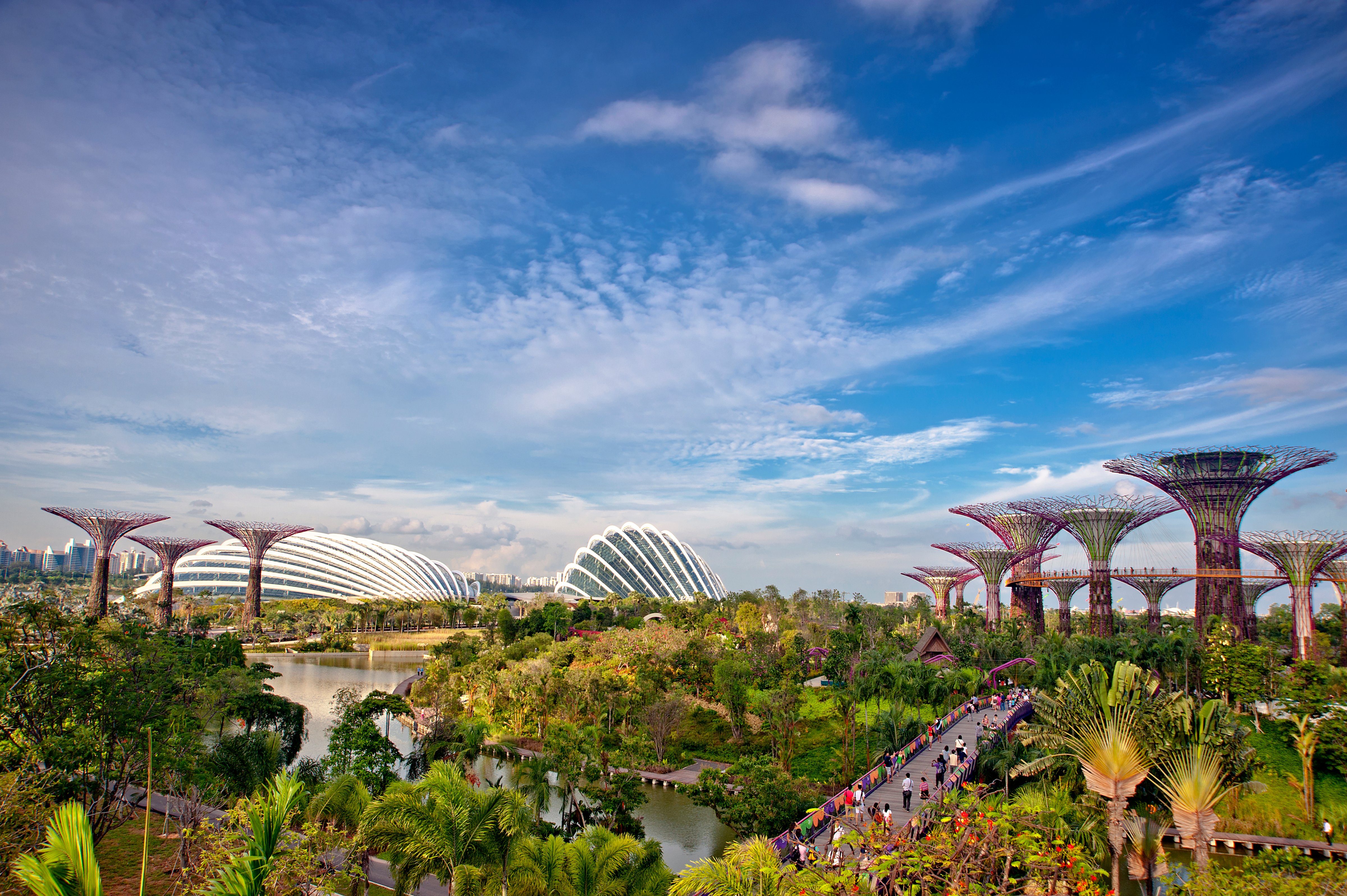Gardens By The Bay Singapore. (wsboon images&mdash;Getty Images)