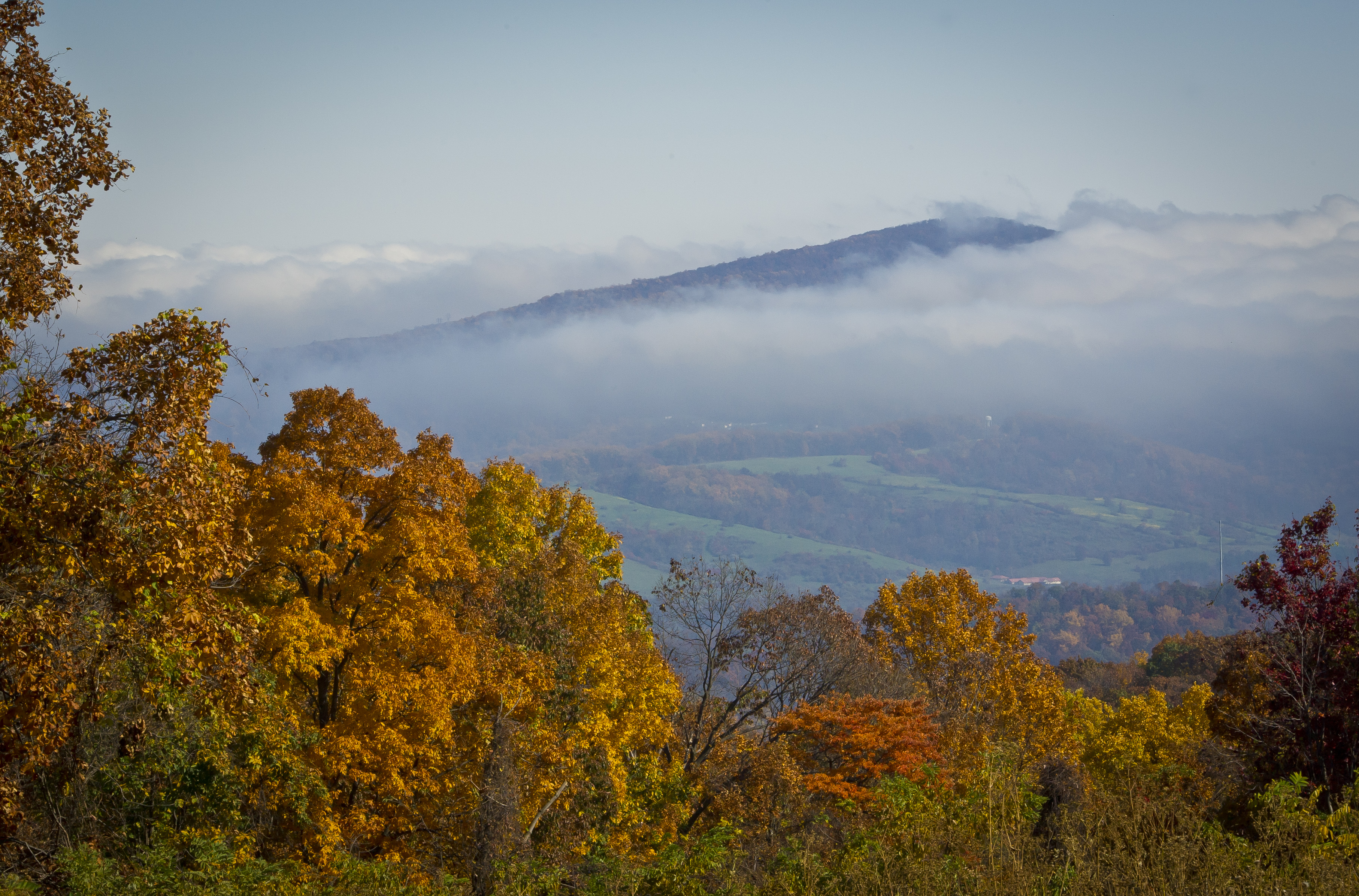 A view of the Blue Ridge Mountains emerging from the morning fog are seen from the Skyline Drive in Shenandoah National Park in Virginia, October 25, 2012. (MLADEN ANTONOV—AFP / Getty Images)