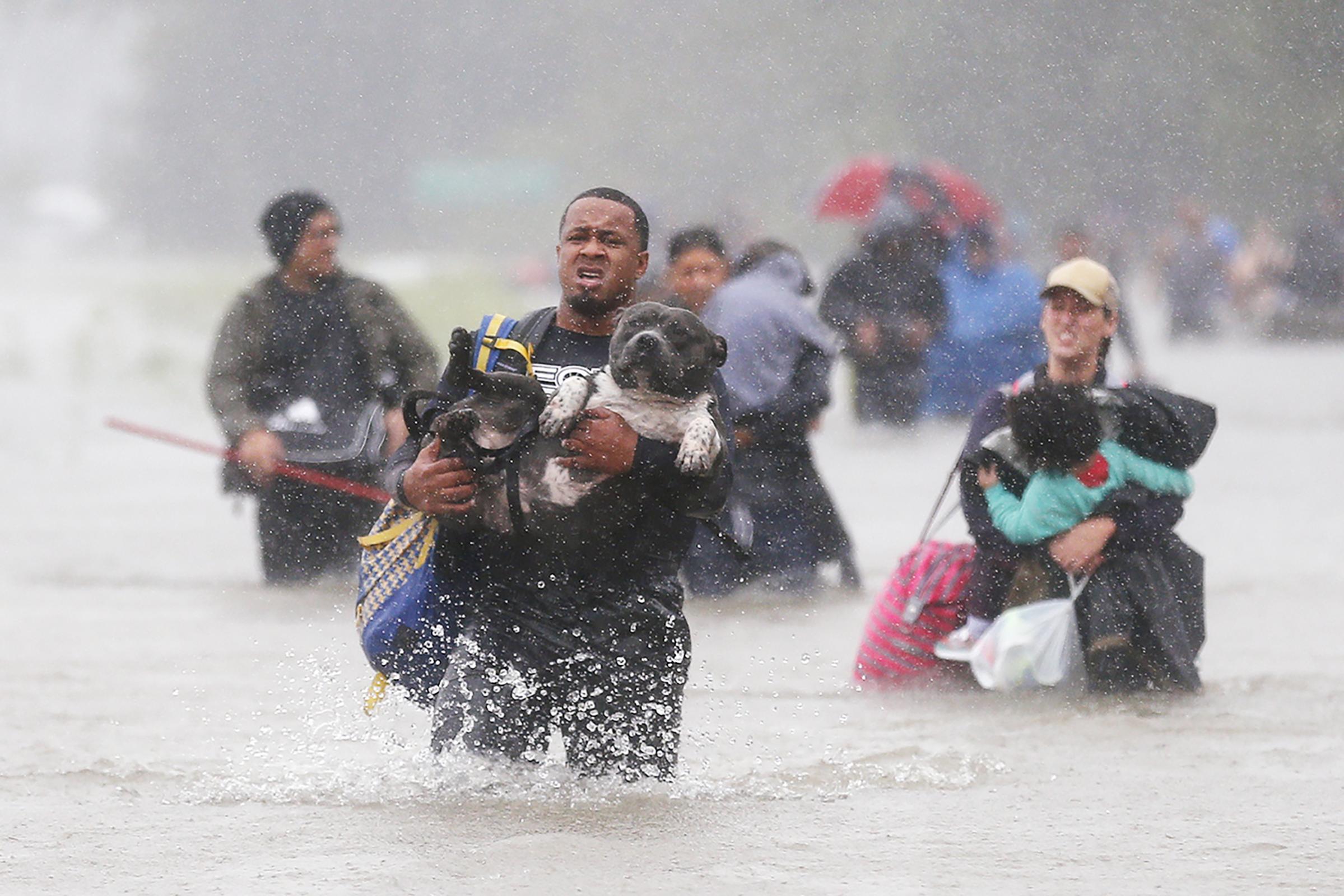 Courtney carries his dog through floodwaters in this news photograph that sparked an outpouring of support