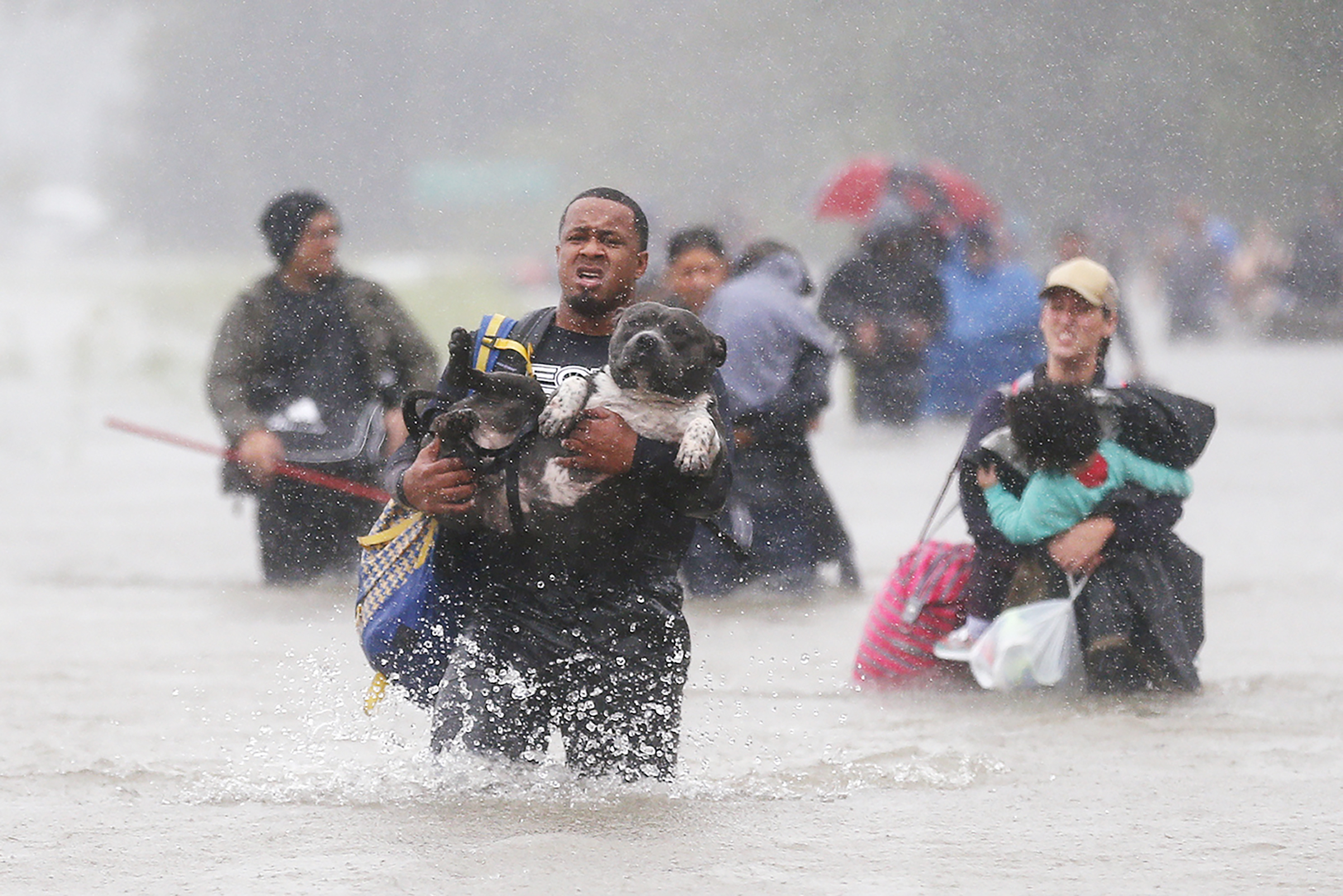 Isiah Courtney carries his dog through floodwaters in this news photograph that sparked an outpouring of support (Jonathan Bachman—Reuters)