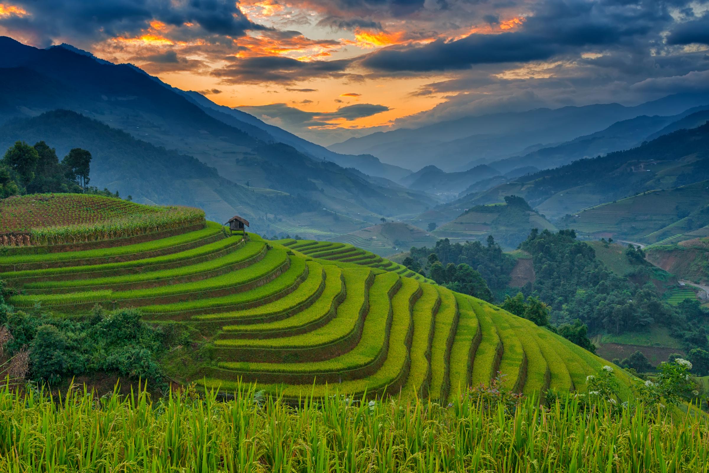 Amazing Rice terraces at Mu Cang Chai, Vietnam