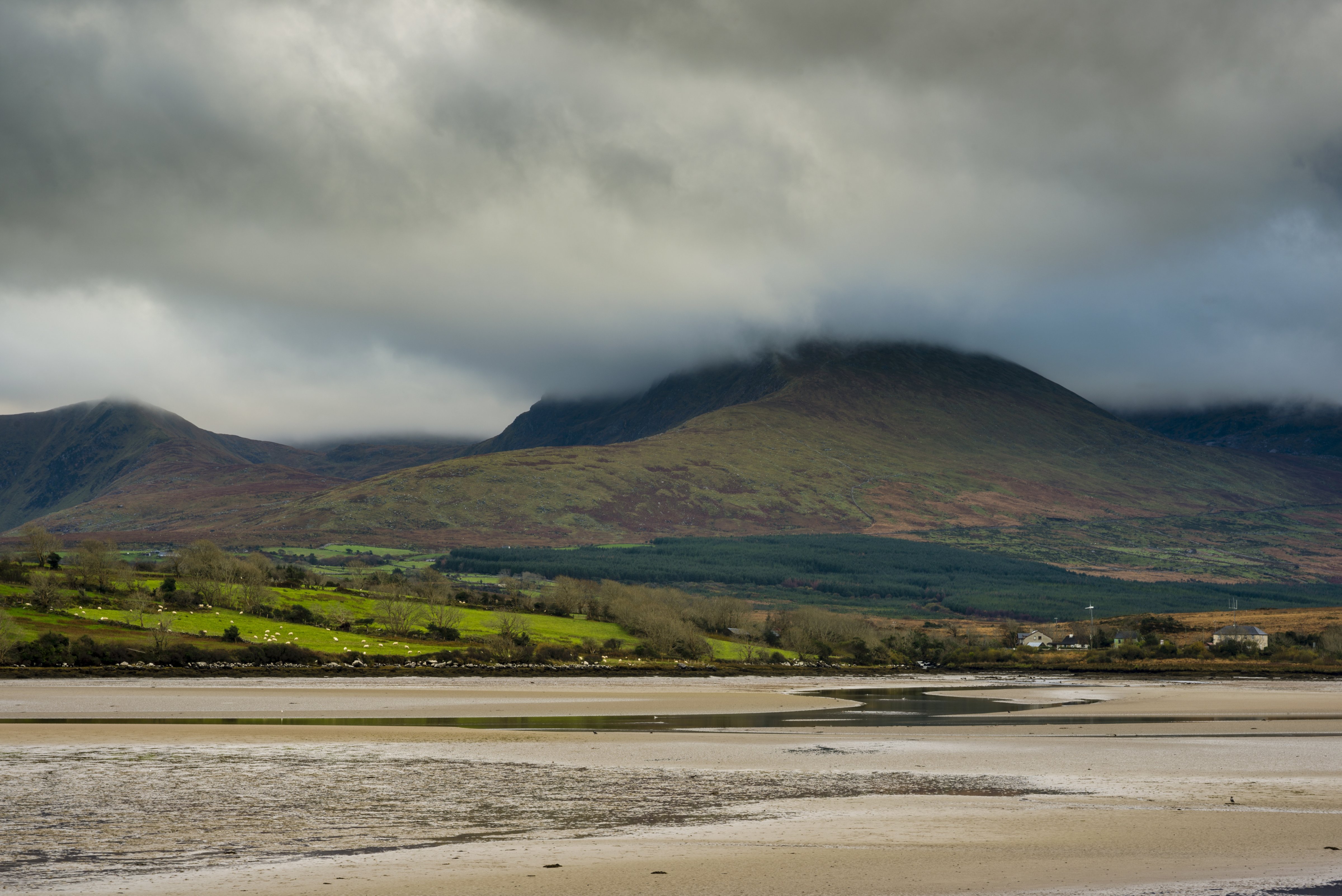 View of hills and beach at low tide, Drum West, Dingle Peninsula, County Kerry, Munster, Ireland, November (Robert Canis—Getty Images)