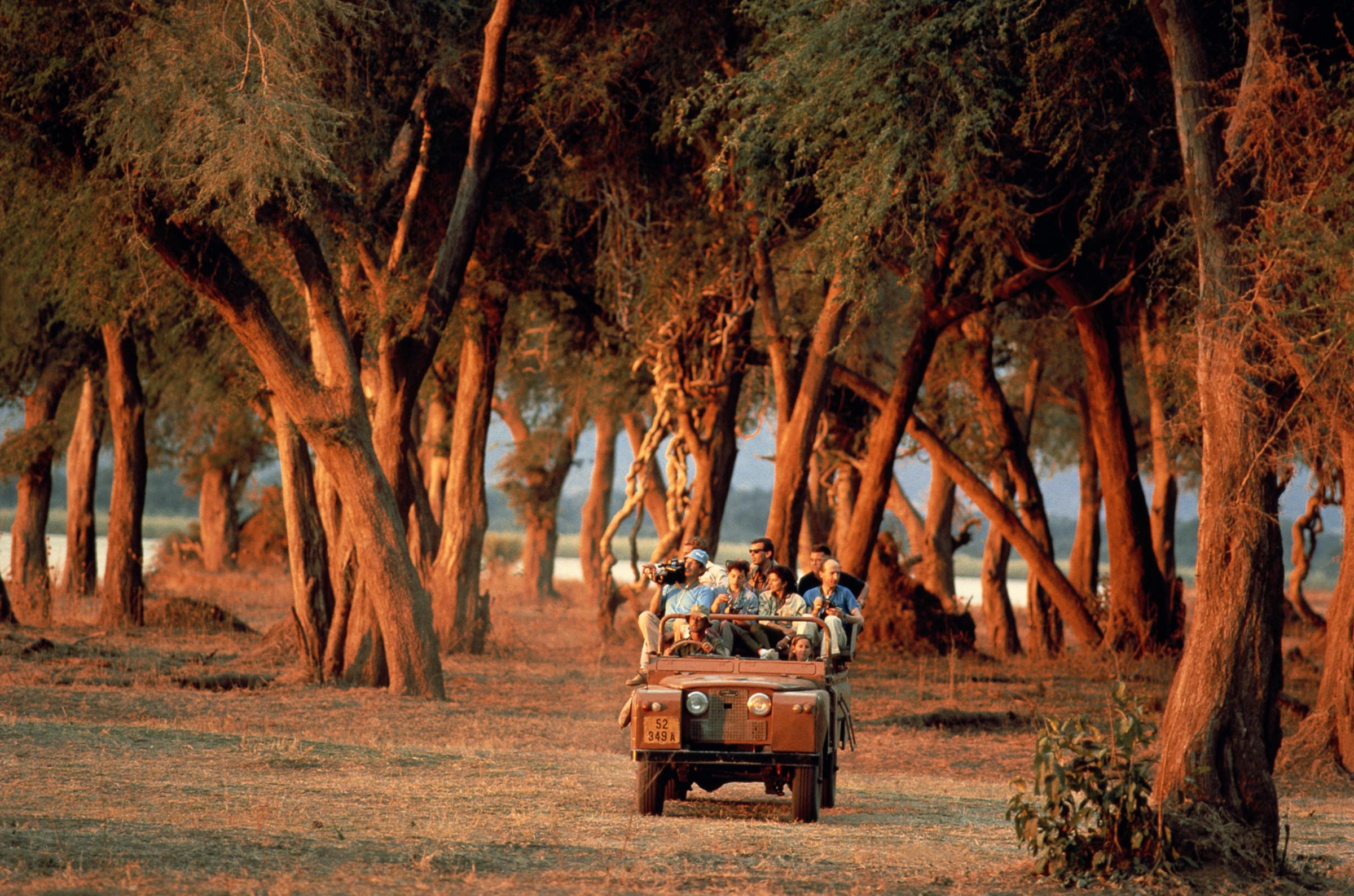 Zimbabwe, Zambezi flood plains, tourists in safari vehicle