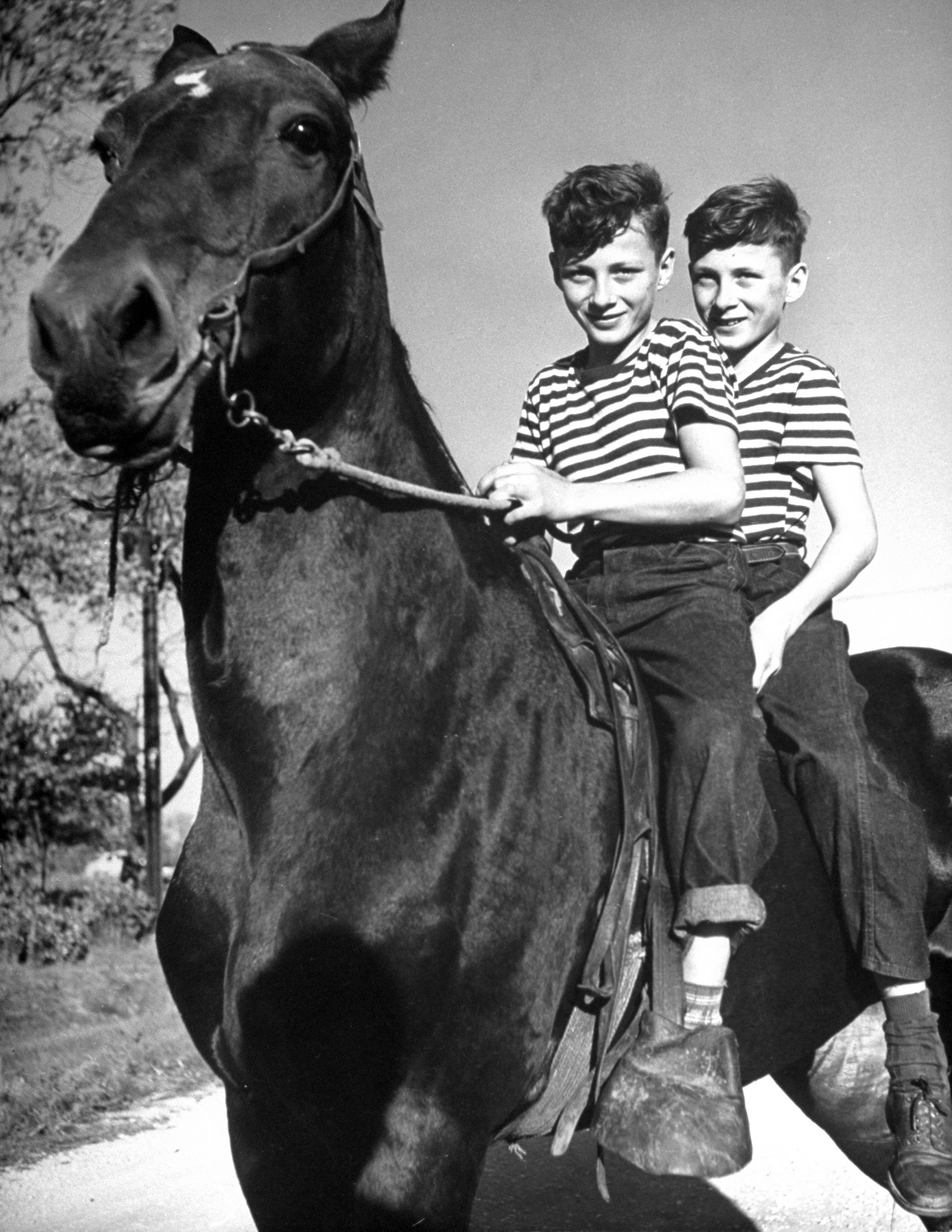 Boys riding a horse to schools, 1946.