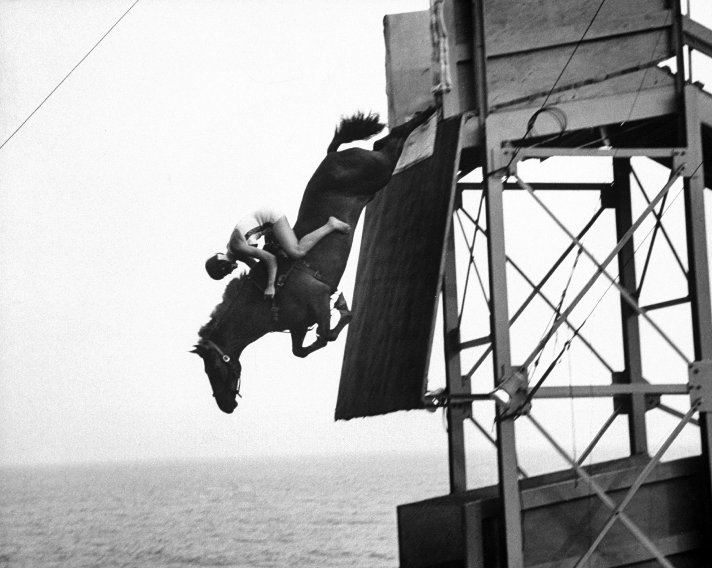 In mid air the horse sails gracefully toward the tank, 1953.