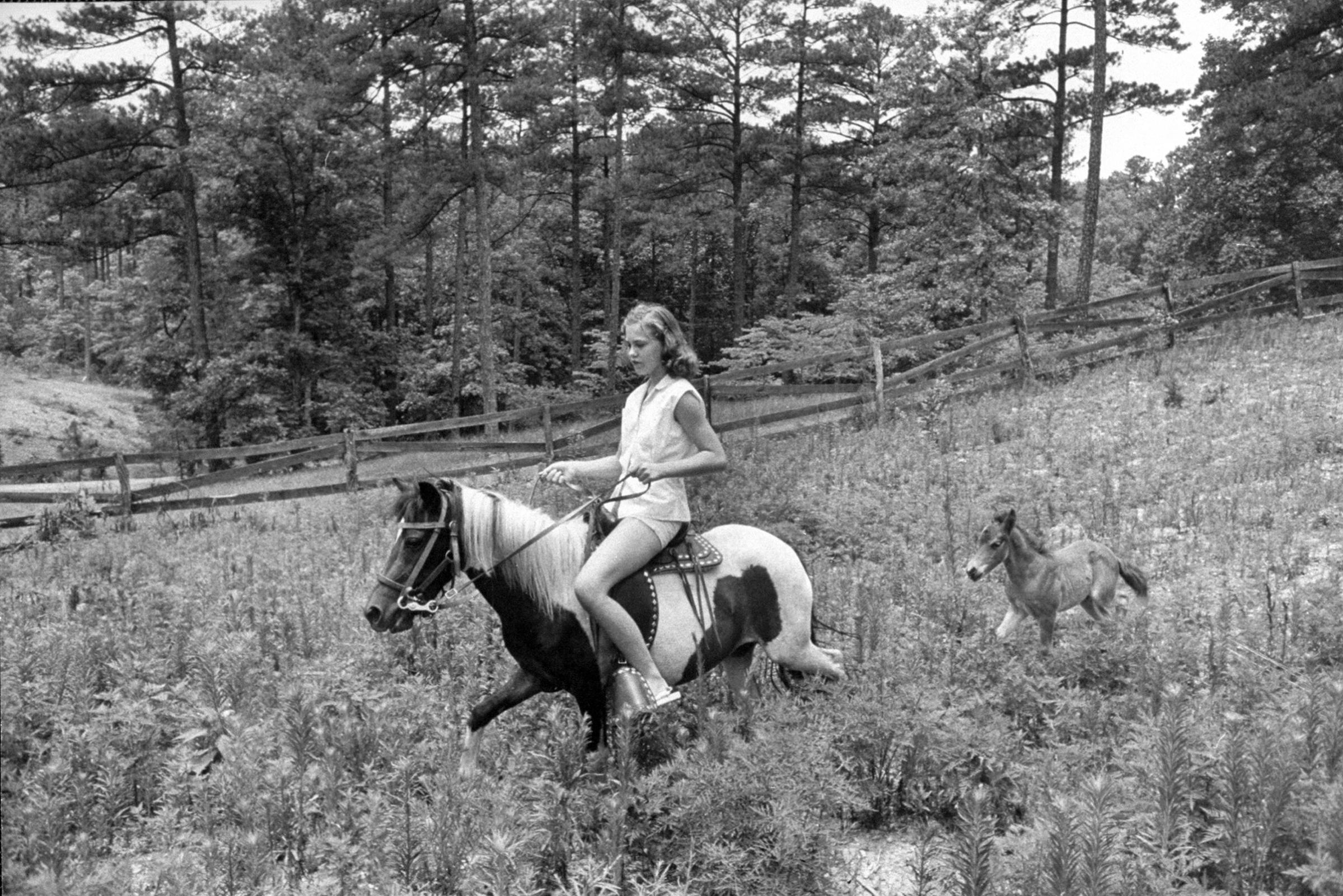 Young girl riding her pony as colt follows, 1956.