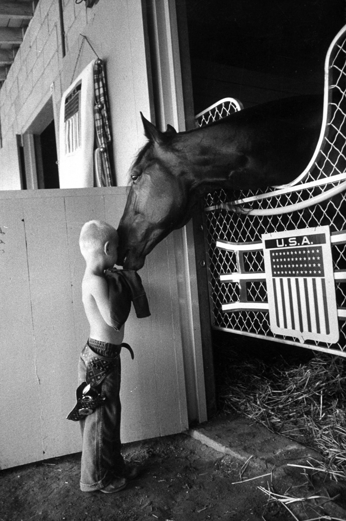 Trader Horn nuzzling young friend in stall at Roosevelt Raceway, 1959.
