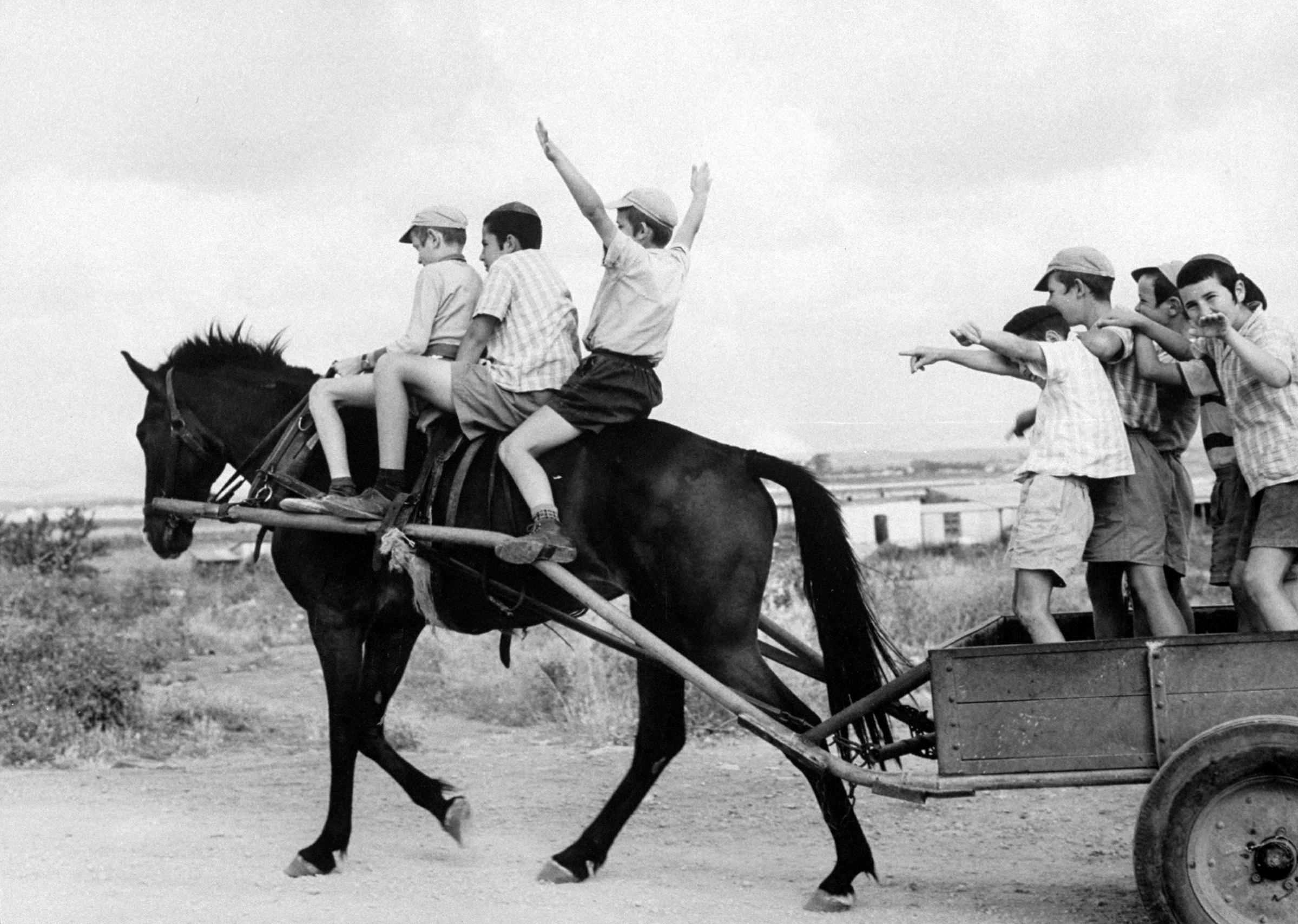 Israeli children of Habad sect, frolic with horse and cart at farm village, 1960.