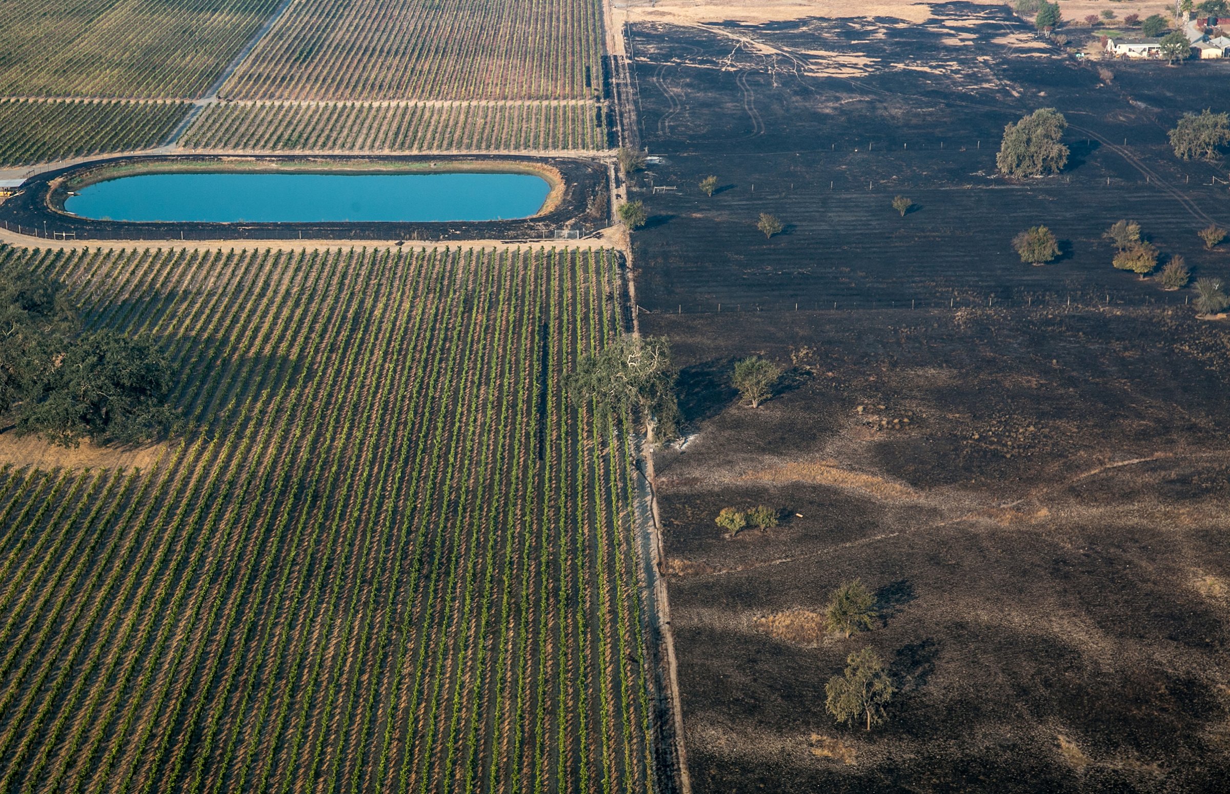 An aerial photo shows the wildfire burning itself out at the edge of grape vineyard on Oct. 11, 2017, in Santa Rosa, California.