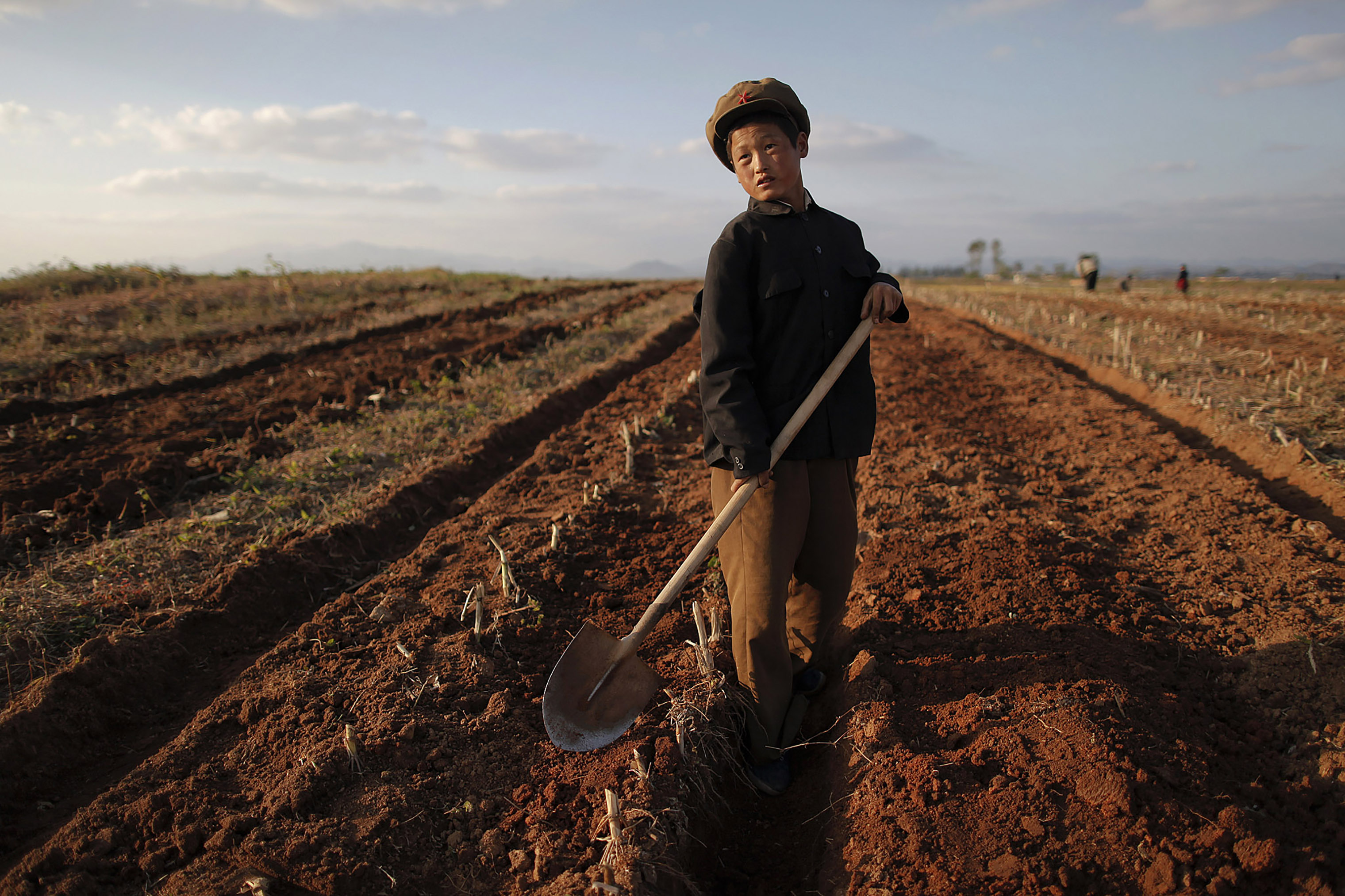 A boy works in a field of a collective farm in the area damaged by summer floods and typhoons in South Hwanghae Province, western North Korea, on Sept. 30, 2011. (Damir Sagolj—Reuters)