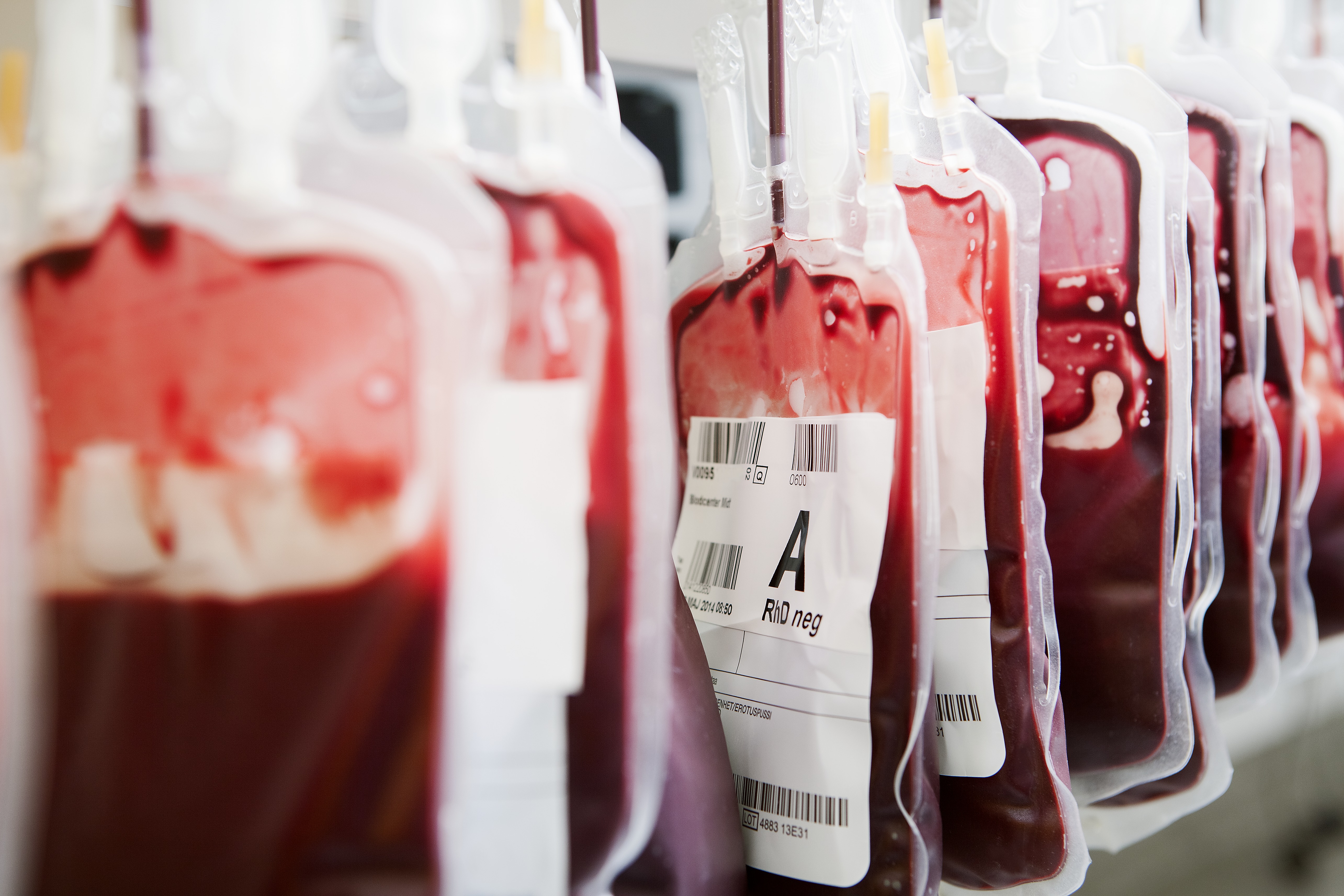 Донорство крови беременной