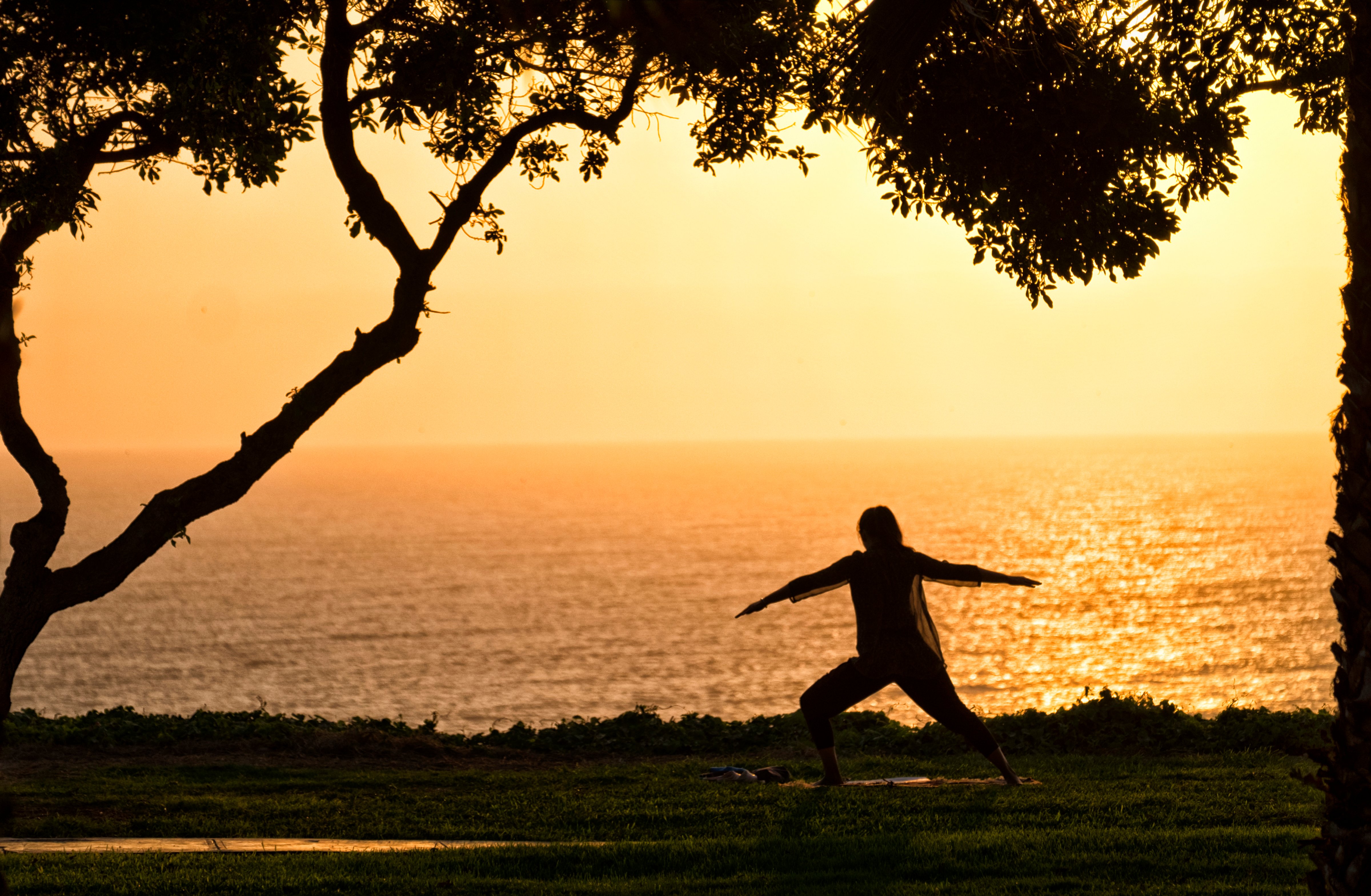 Person practicing tai chi by the sea at sunset