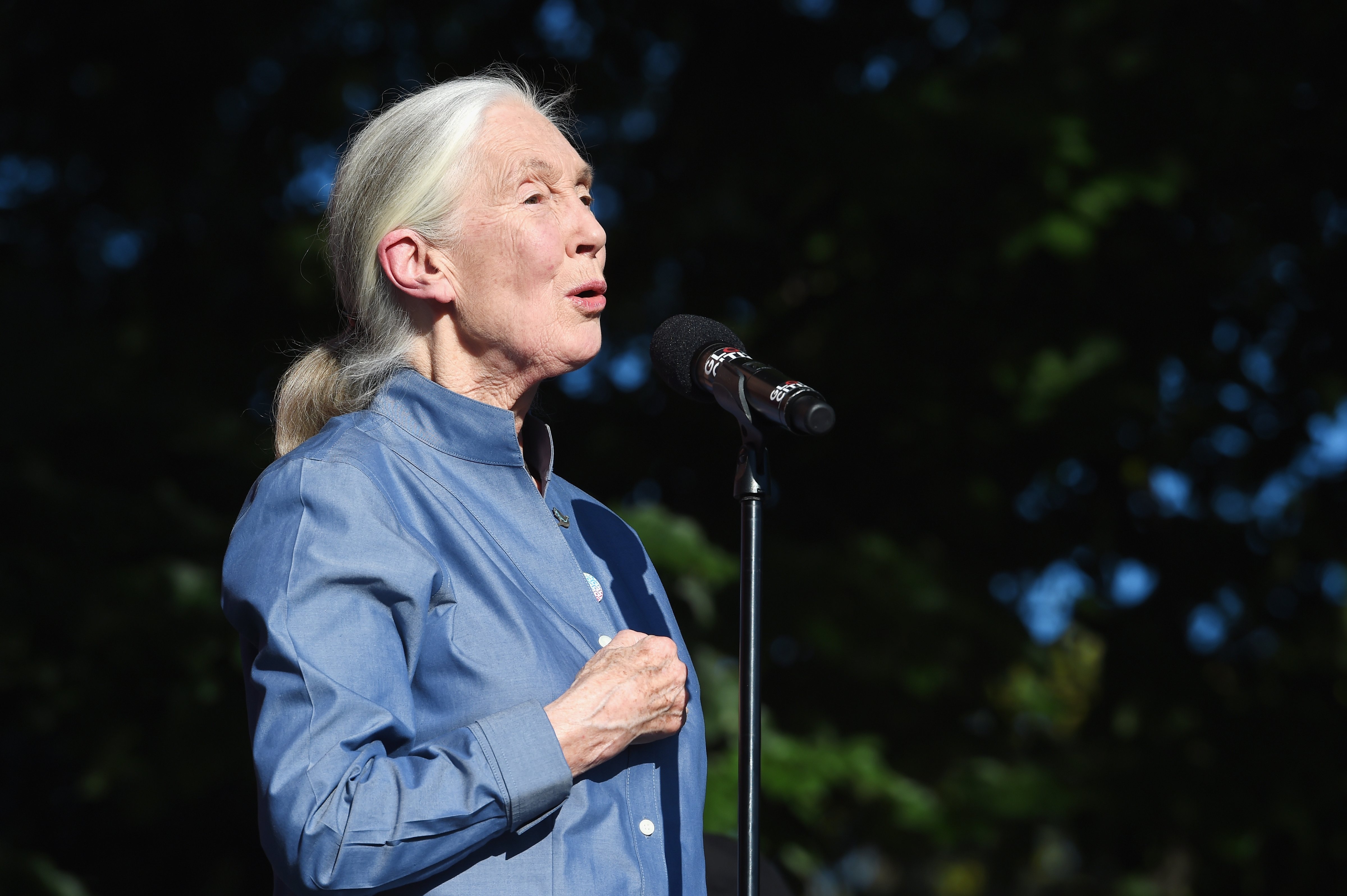 Jane Goodall speaks onstage during Global Citizen Festival 2017 on Sept. 23 in New York City. (Michael Kovac—Getty Images)