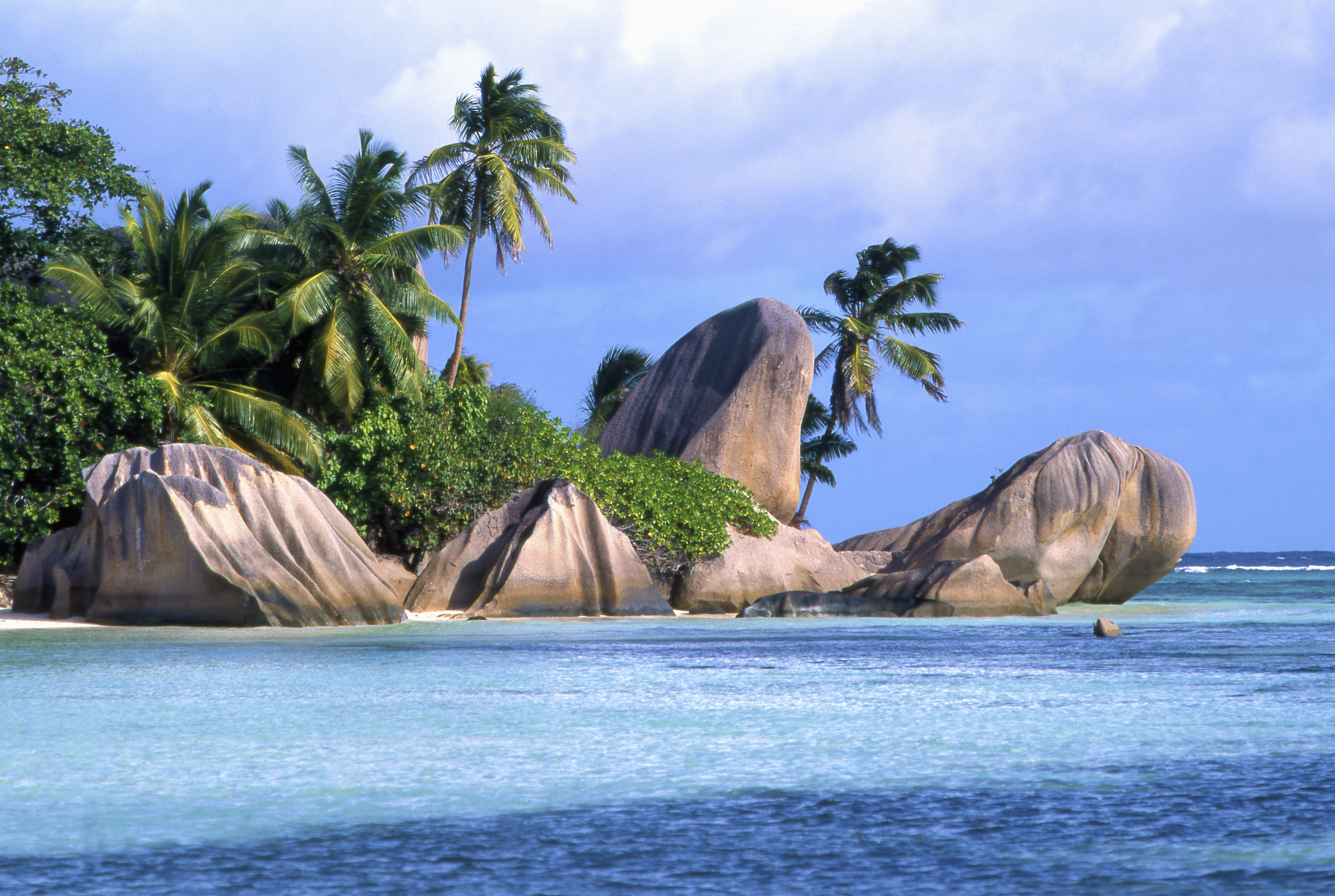 Seychelles, La Digue, Pointe Source d'Argent, sea, palm-trees, rocks