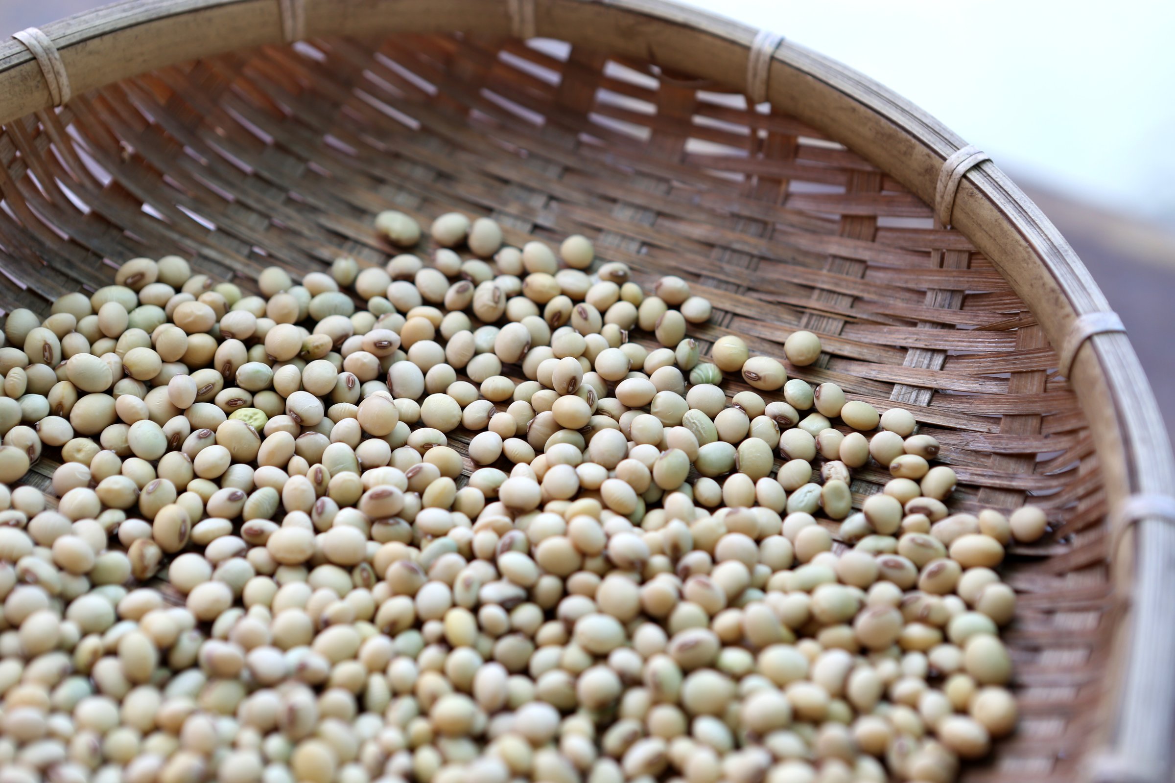 Soybeans in bamboo sieve