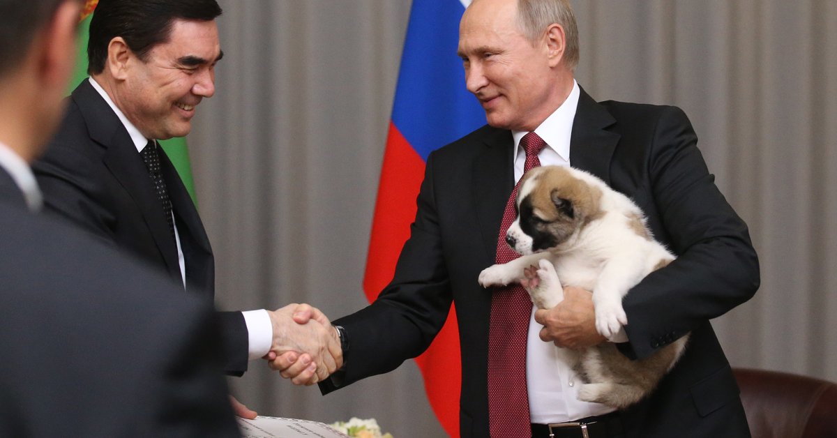 Vladimir Putin Was Gifted a Puppy From Turkmenistan | Time