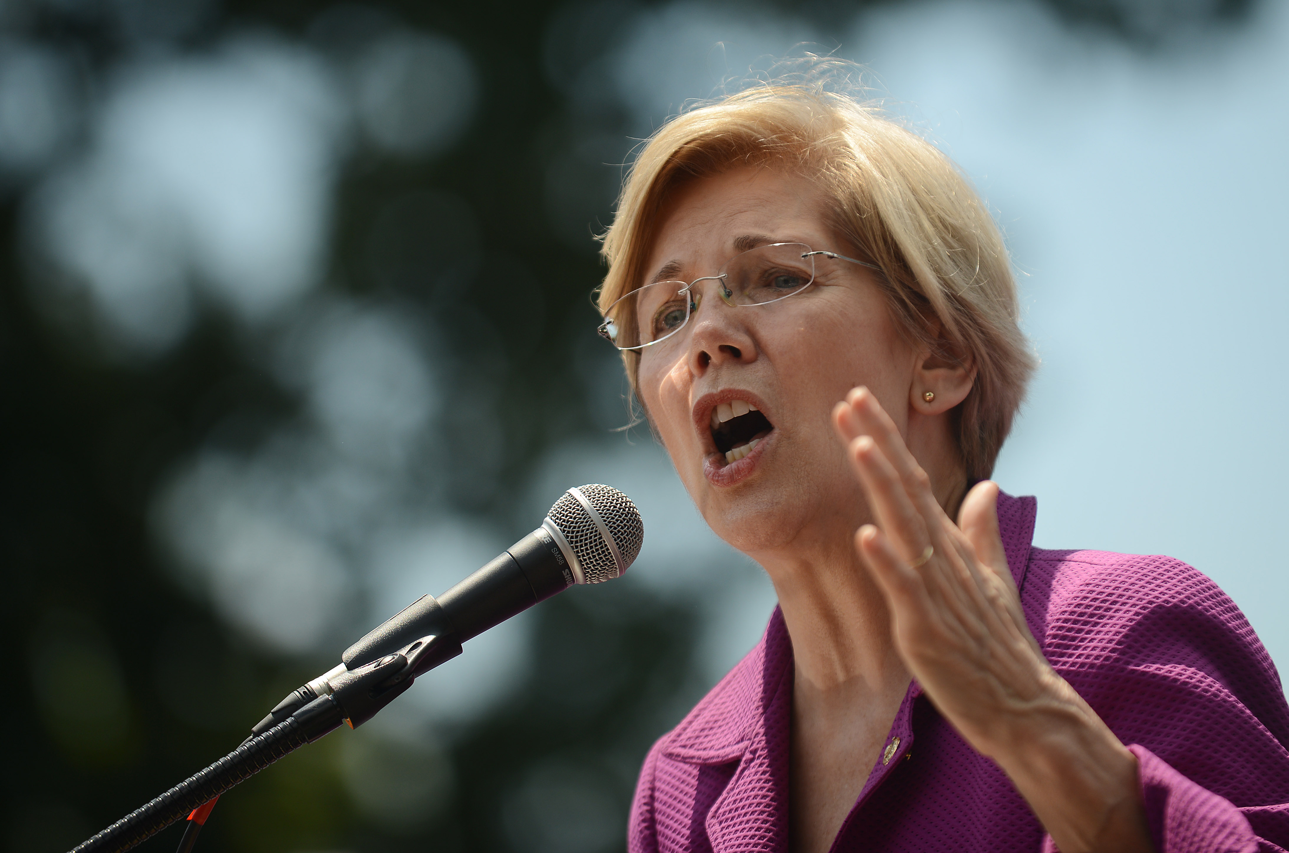 Massachusetts Sen. Elizabeth Warren speaks at a rally to oppose the repeal of the Affordable Care Act and its replacement on Capitol Hill on June 21, 2017 in Washington, D.C. (Astrid Riecken/Getty Images)
