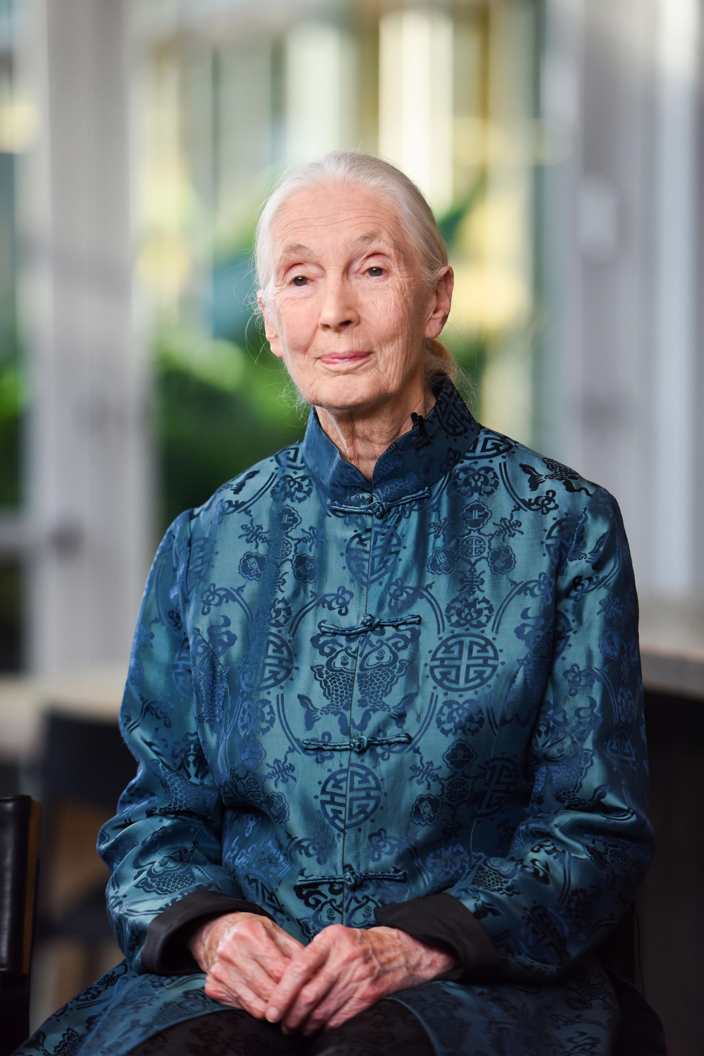 Jane Goodall innovators-on-geniuses-goodall