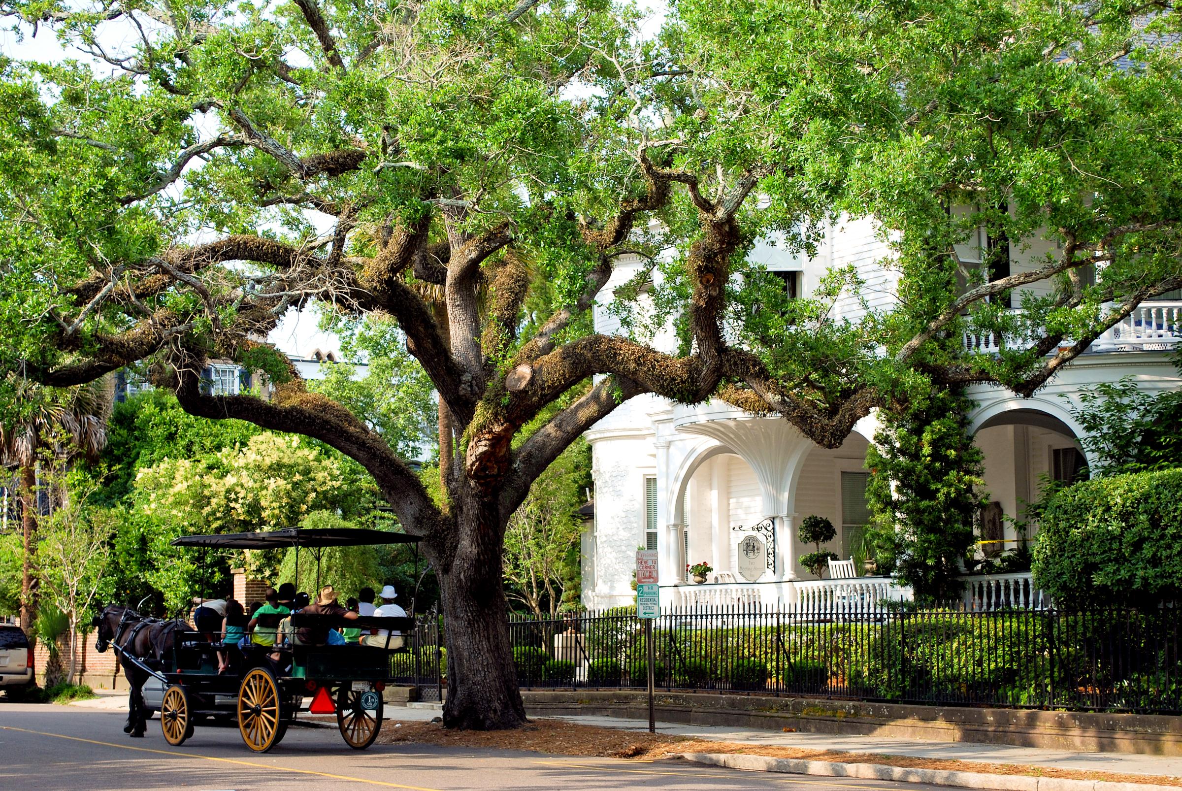 Historic Carriage Ride, Charleston, South Carolina
