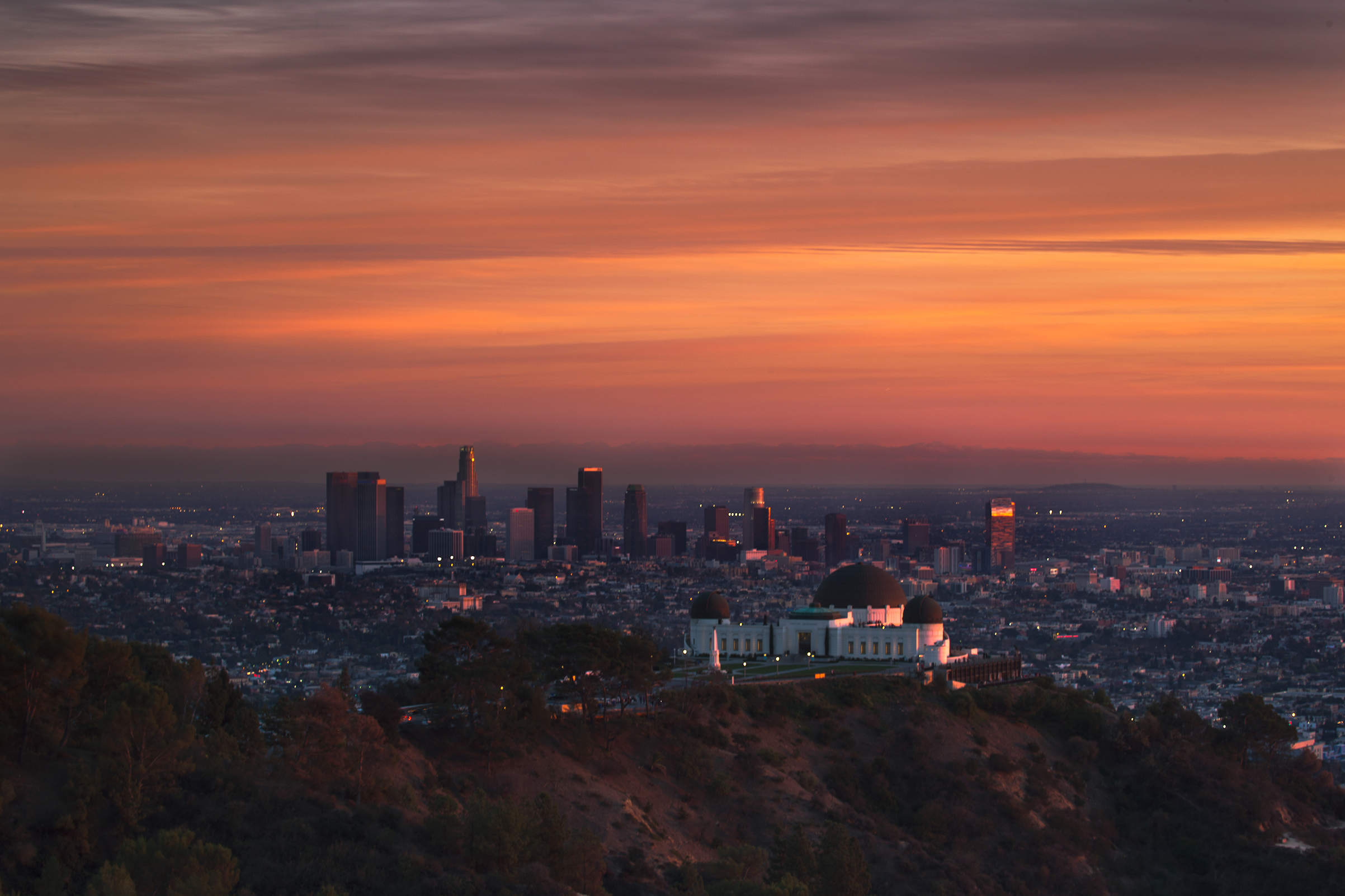 future-olypic-citys-Los-Angeles