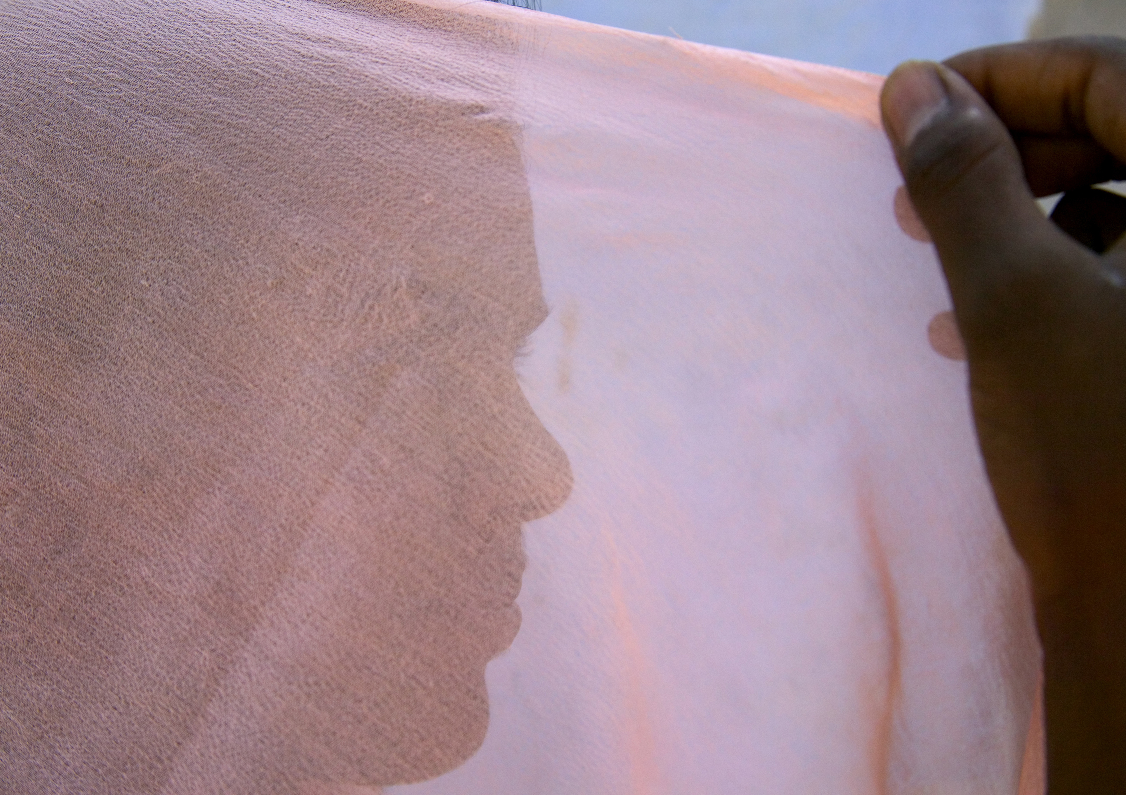 Portrait of a girl behind veil.