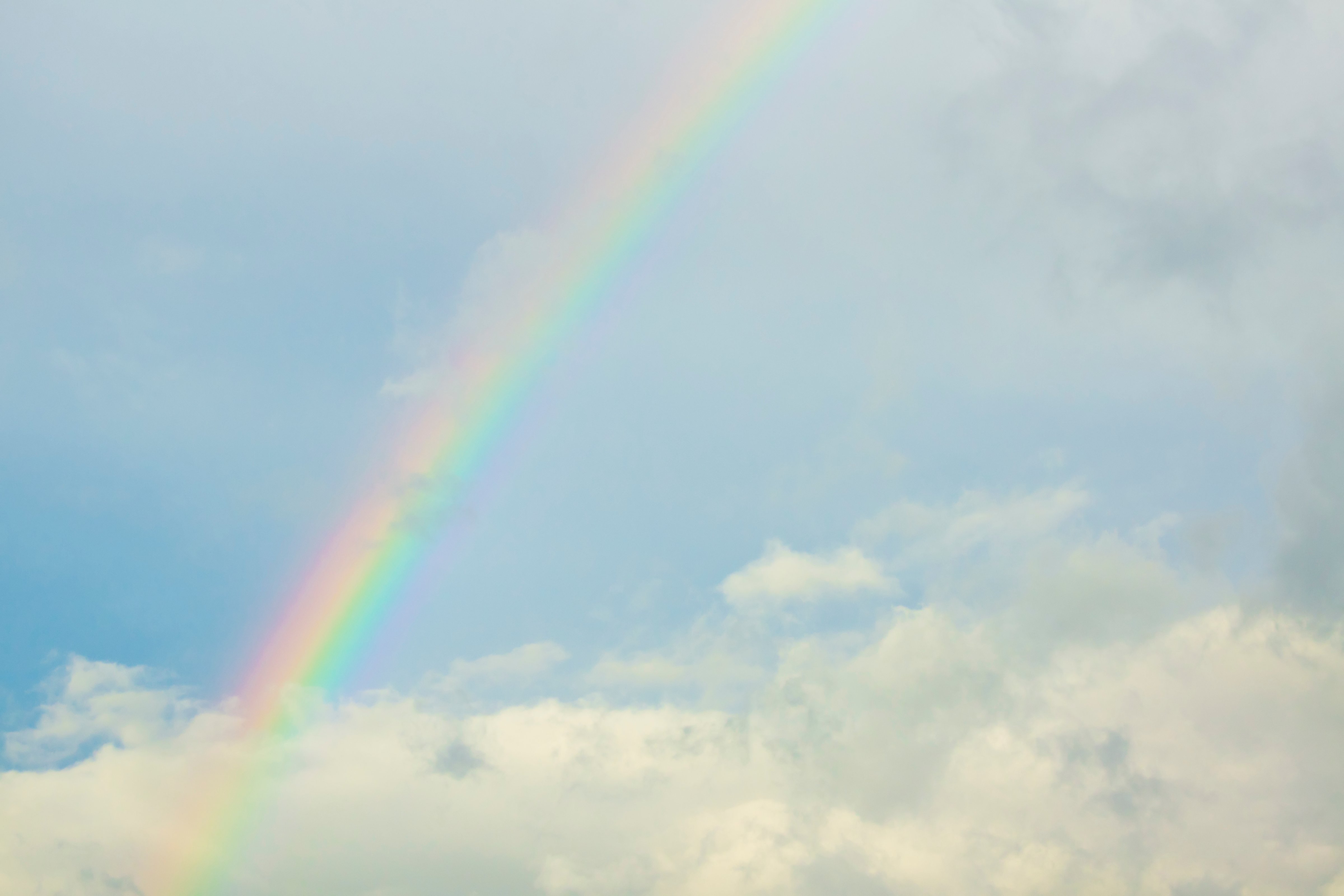 A rainbow seen on a sunny afternoon following rain. (Kryssia Campos—Getty Images)