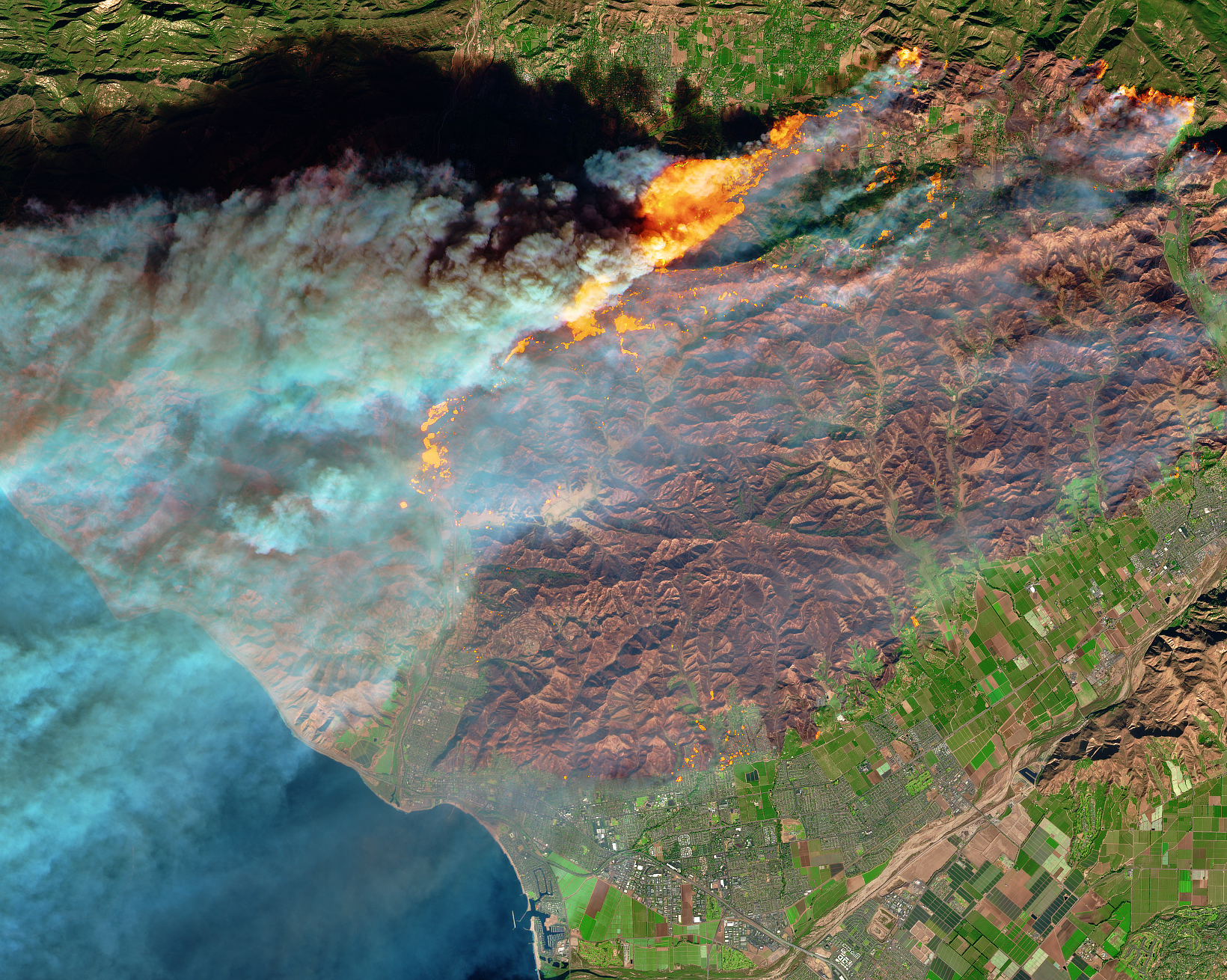 On Dec. 5, 2017, the Multi Spectral Imager (MSI) on the European Space Agency’s Sentinel-2 satellite captured the data for a false-color image of the burn scar in Ventura County, California. Active fires appear orange; the burn scar is brown. Unburned vegetation is green; developed areas are gray. The Sentinel-2 image is based on observations of visible, shortwave infrared, and near infrared light.The fires mainly affected a forested, hilly area north of Ventura, but flames have encroached into the northern edge of the city. On December 6, 2017, Cal Fire estimated that at least 12,000 structures were threatened by fire.Powerful Santa Ana winds fanned the flames. Forecasters with the Los Angeles office of the National Weather Service warned that the region is in the midst of its strongest and longest Santa Ana wind event of the year. They issued red flag warnings for Los Angles and Ventura counties through December 8, noting that isolated wind gusts of 80 miles (130 kilometers) per hour are possible.A prolonged spell of dry weather also primed the area for major fires. This week’s winds follow nine of the driest consecutive months in Southern California history, NASA Jet Propulsion Laboratory climatologist Bill Patzert told the Los Angeles Times. “Pile that onto the long drought of the past decade and a half, [and] we are in apocalyptic conditions,” he said.Annotated images: NASA Earth ObservatoryNASA Earth Observatory images by Joshua Stevens using modified Copernicus Sentinel data (2017) processed by the European Space Agency