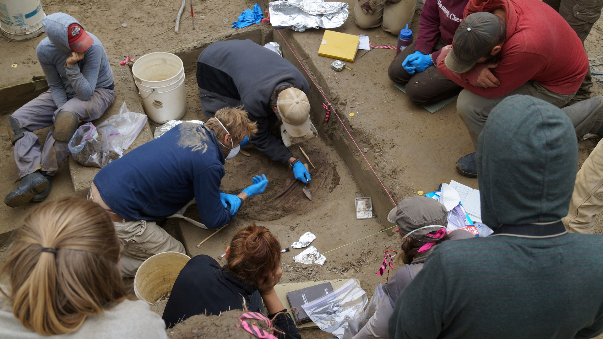 Scientists work on the excavation site of the 11,500-year-old remains of two infant girls in Tanana Valley